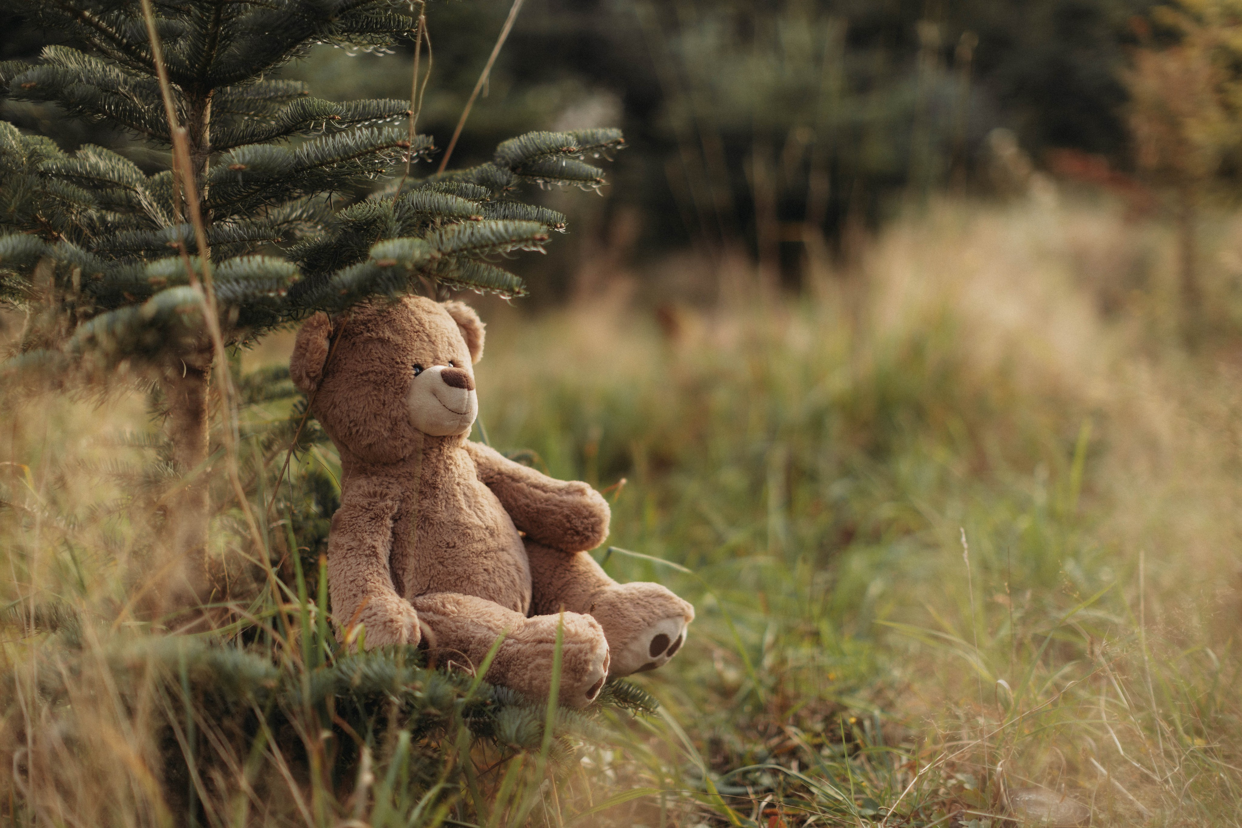 Weihnachtsminis Hauzenberg. Viktorija Gibert Fotografie