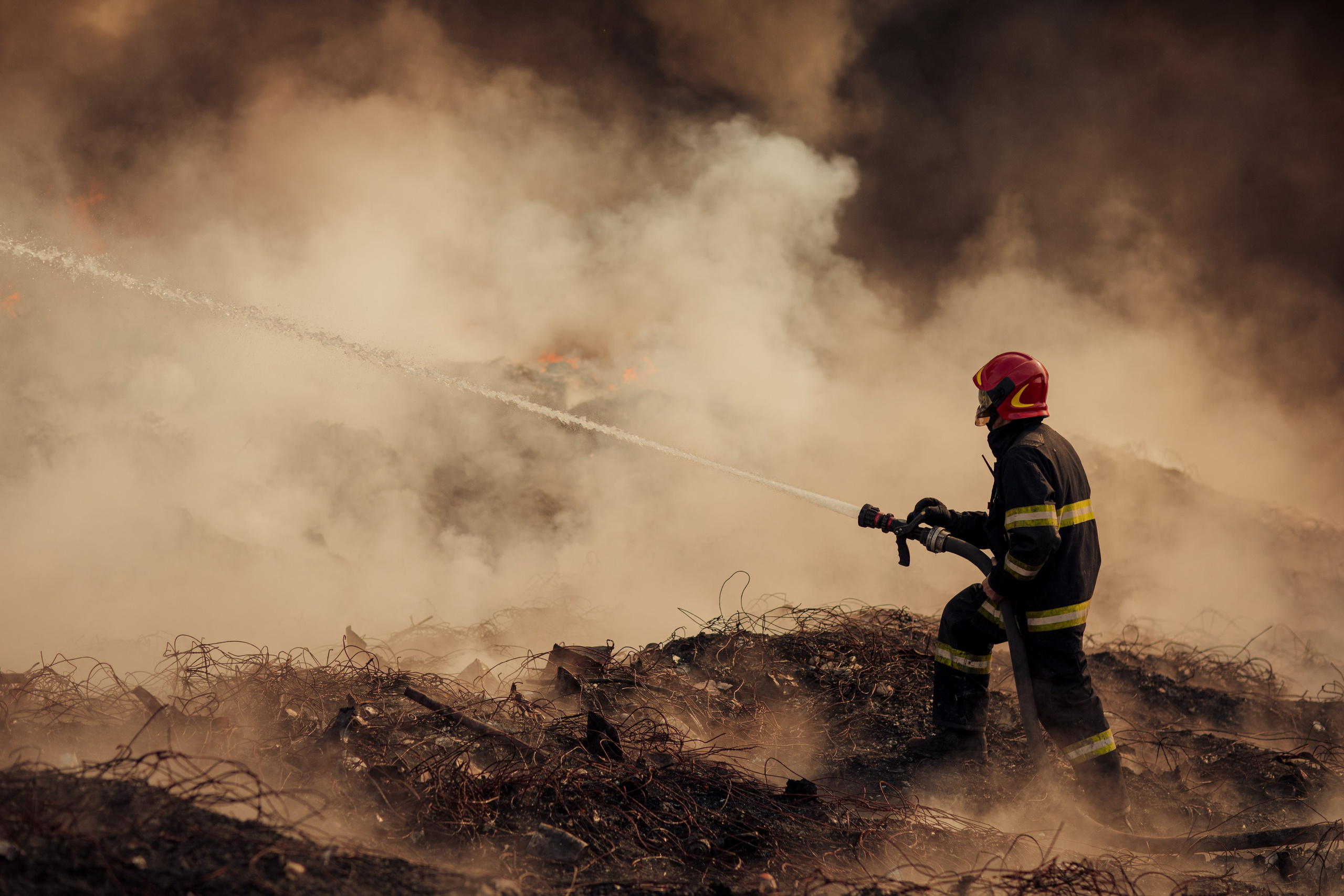 Киносеанс в Школе Фотографии Романа Рыбалёва. Школа Фотографии Романа Рыбалёва. Город Кишинёв, Молдова