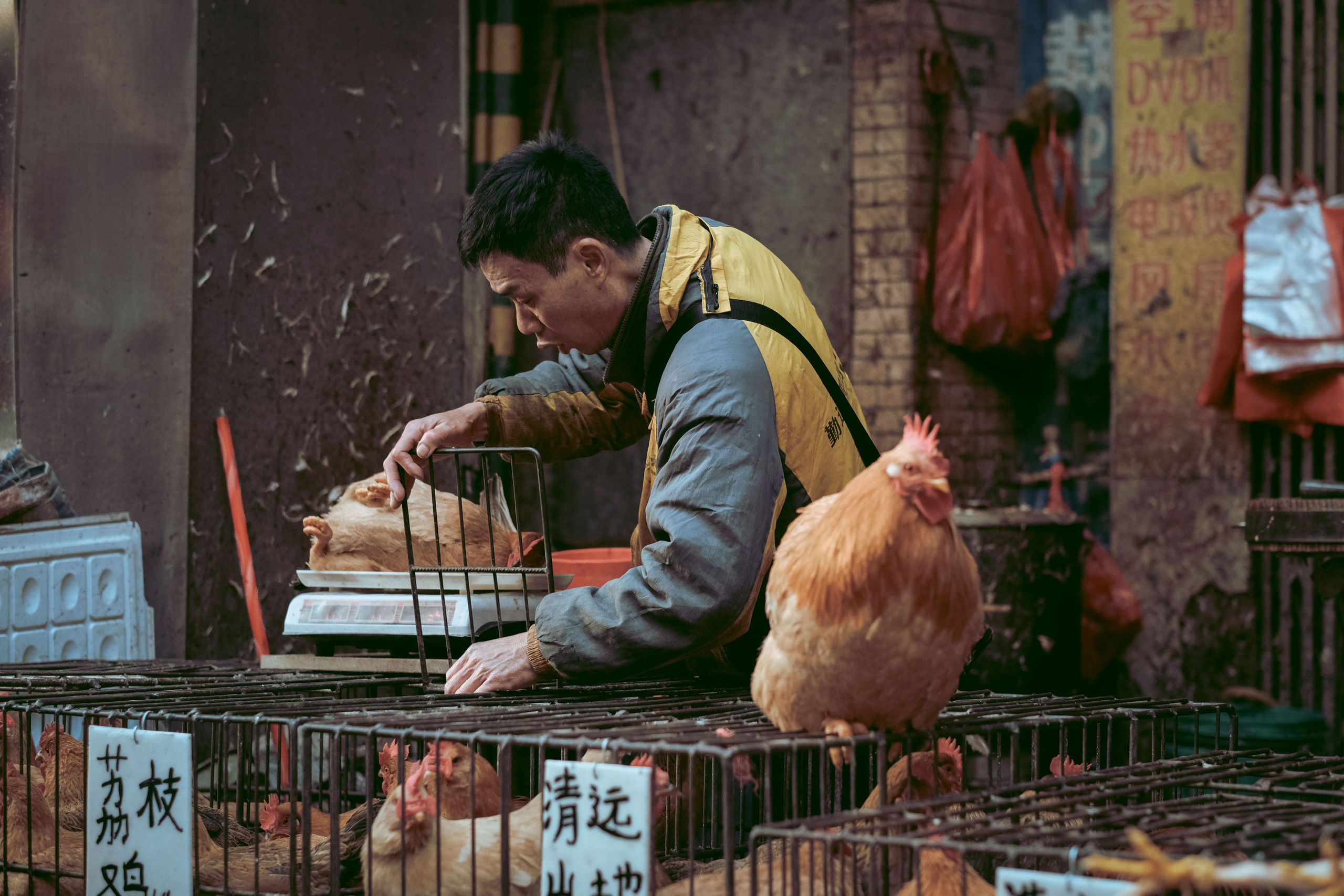 Exploring Farmers Markets in China: A Photo Review by Yukophotography