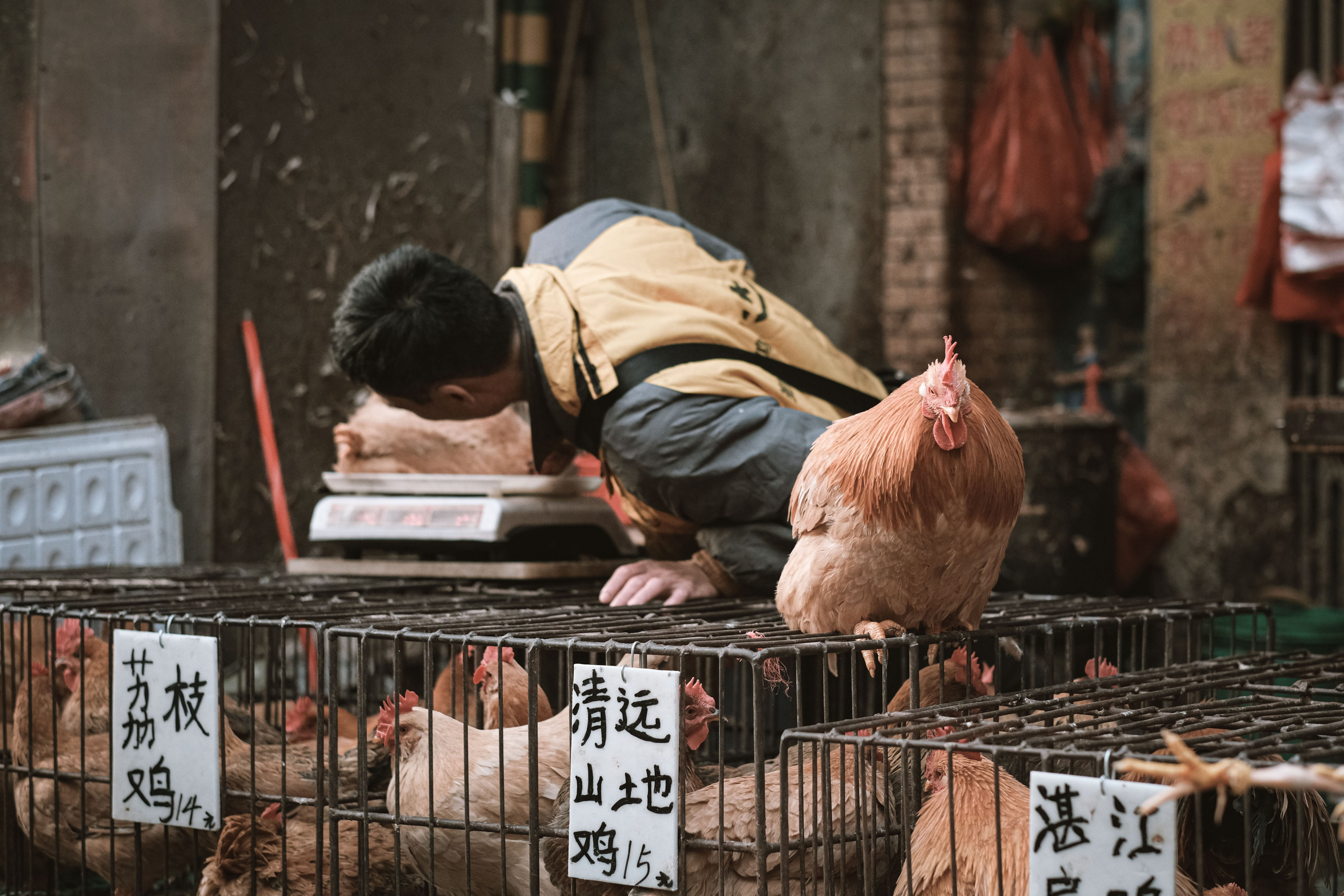 Exploring Farmers Markets in China: A Photo Review by Yukophotography