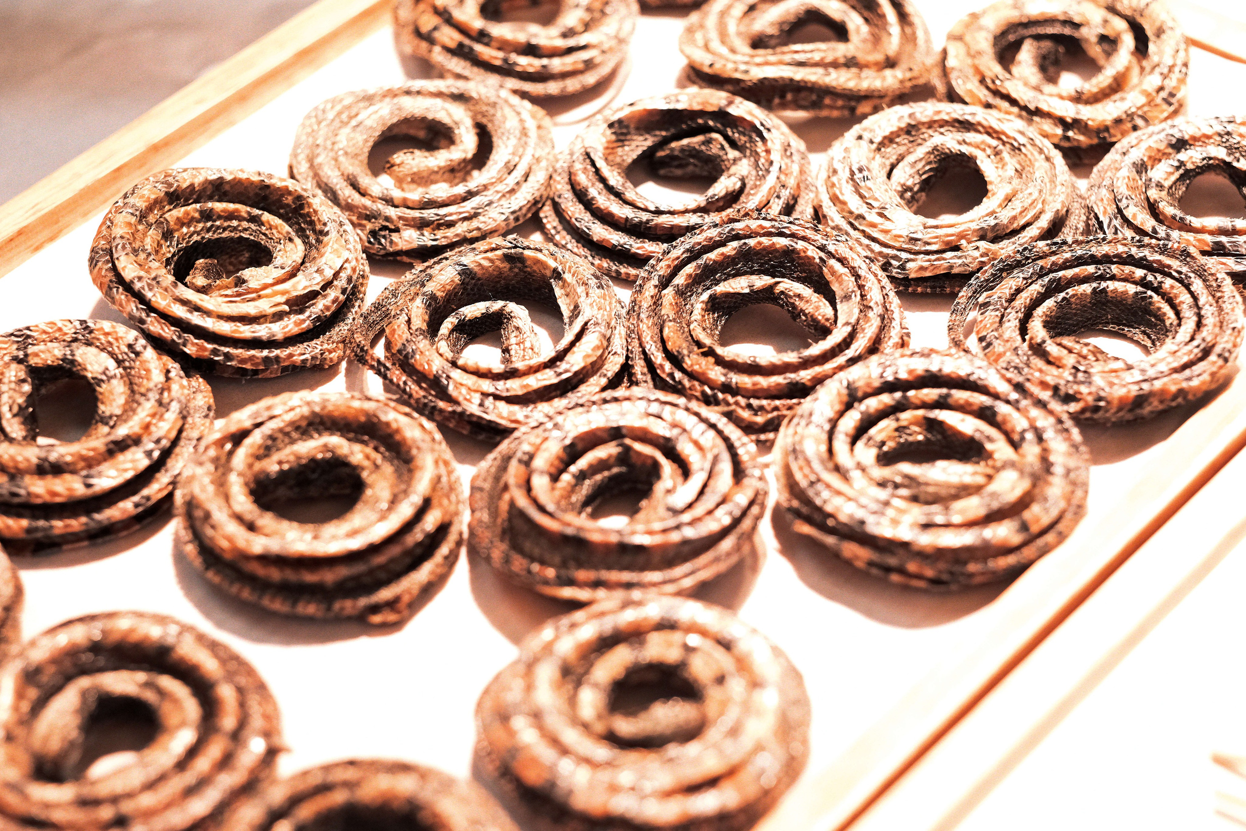 Fried Snakes