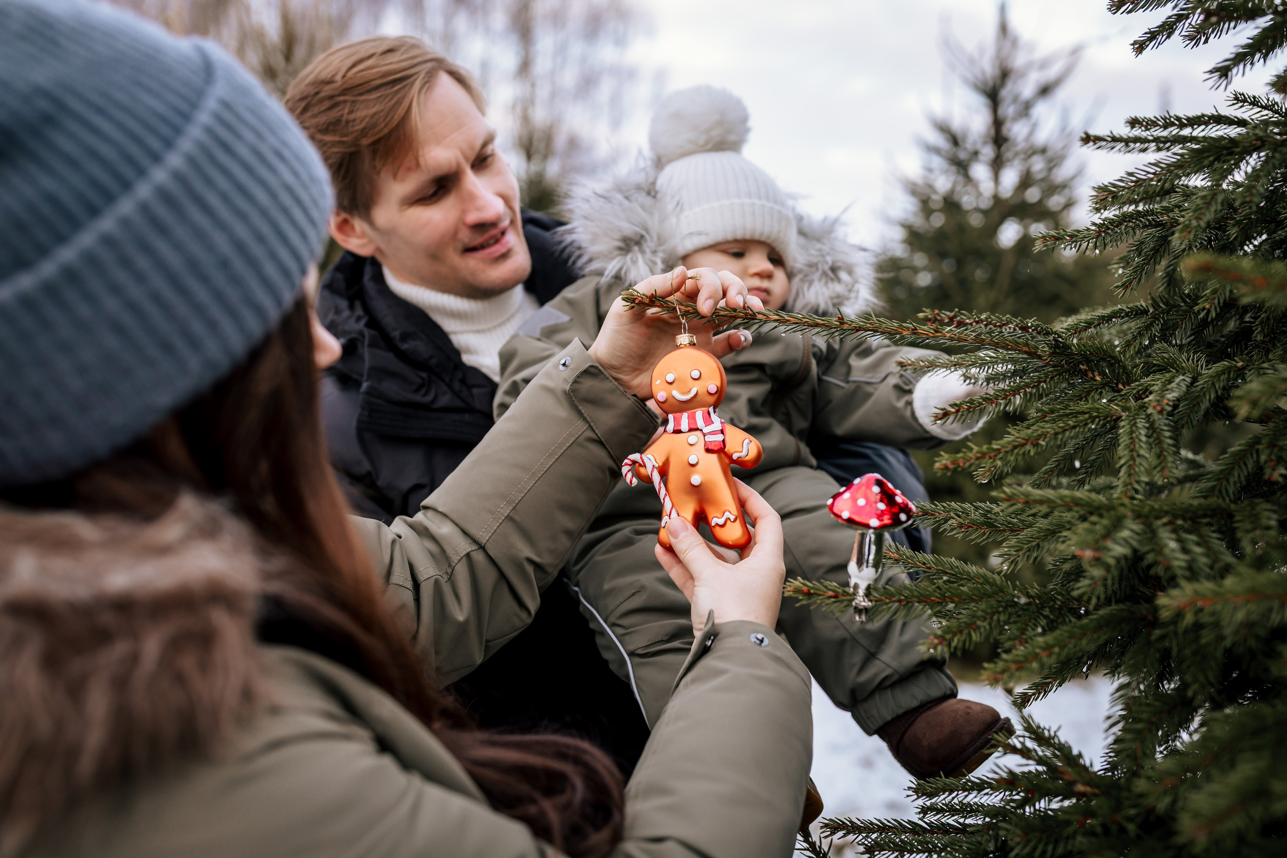 Ziemassvētku fotogrāfija. Home