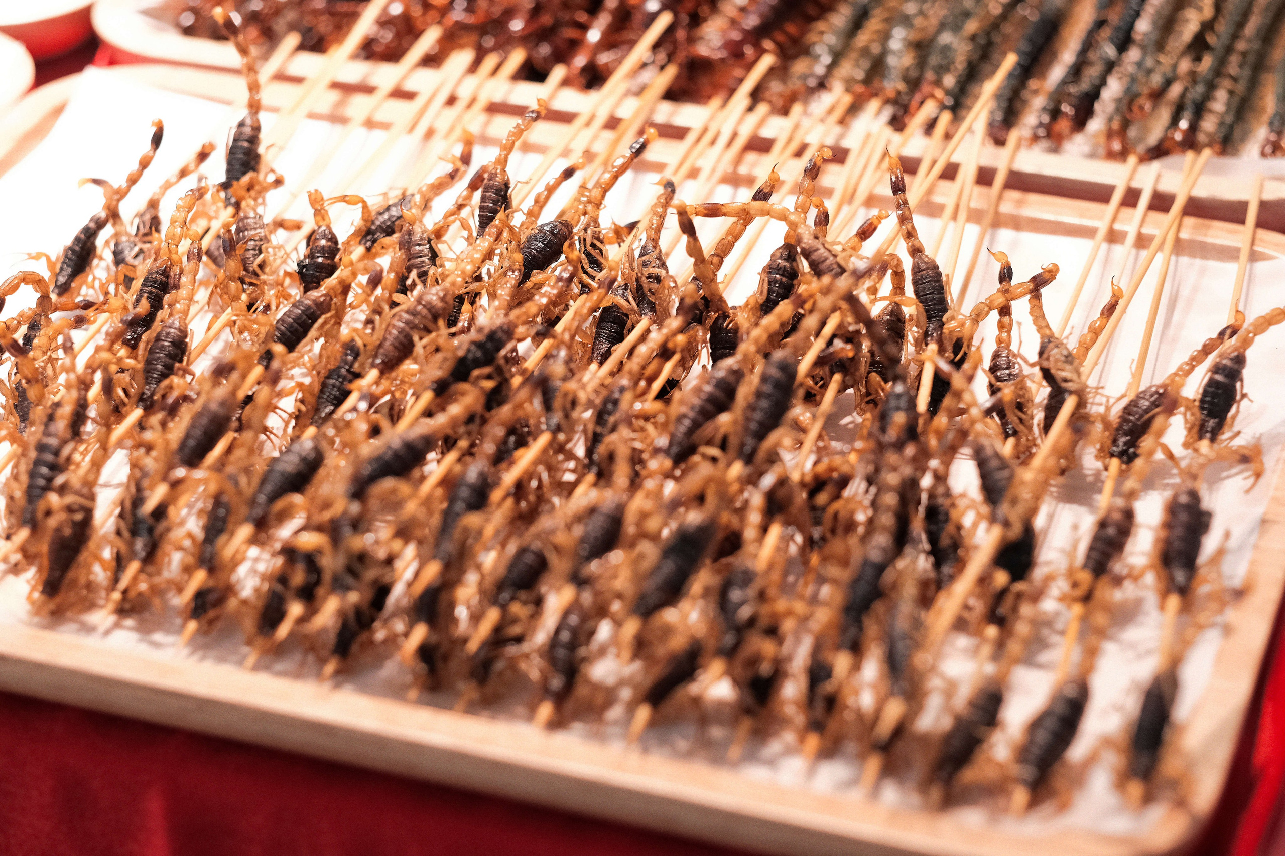 Fried Scorpions
