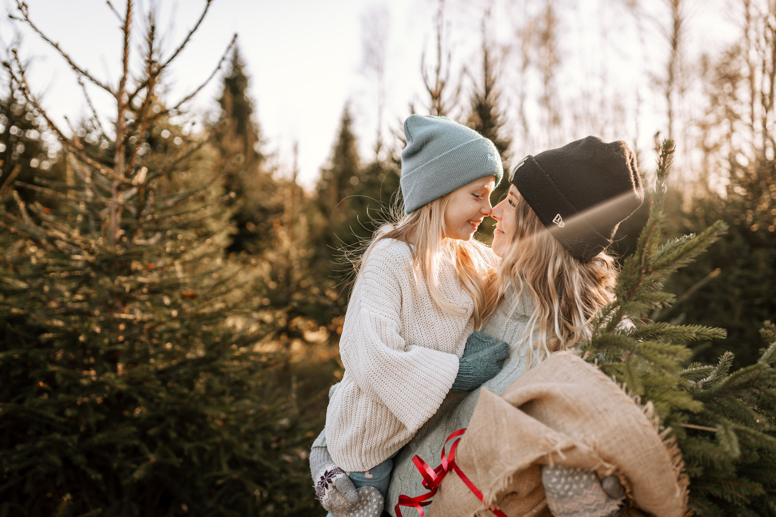 Ziemassvētku fotogrāfija. Home
