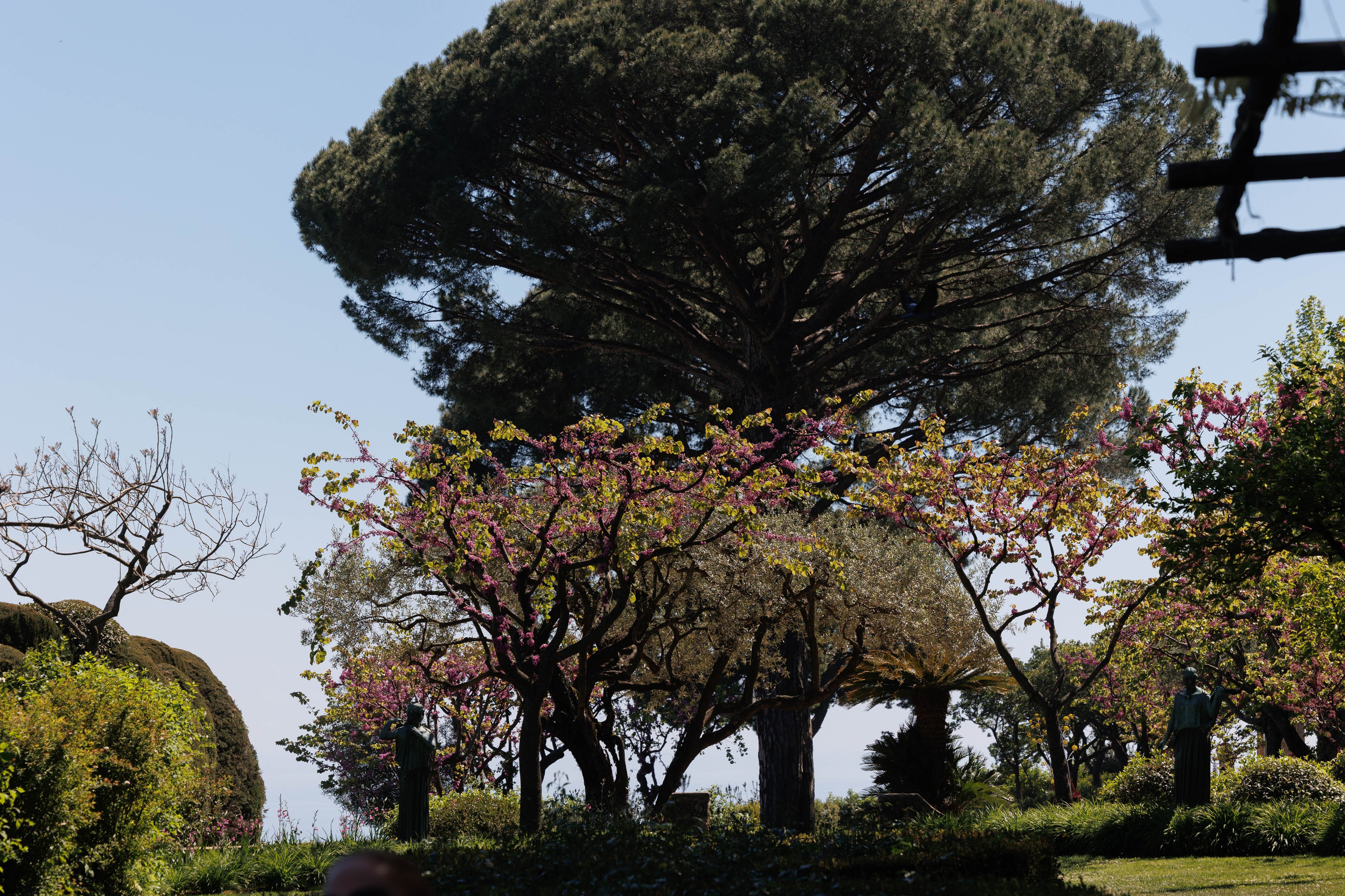 DW Summit 2026 in Ravello: Where Vision, Emotion and Italy Meet. Lisbon Wedding Photographer | Elegant Wedding Storytelling
