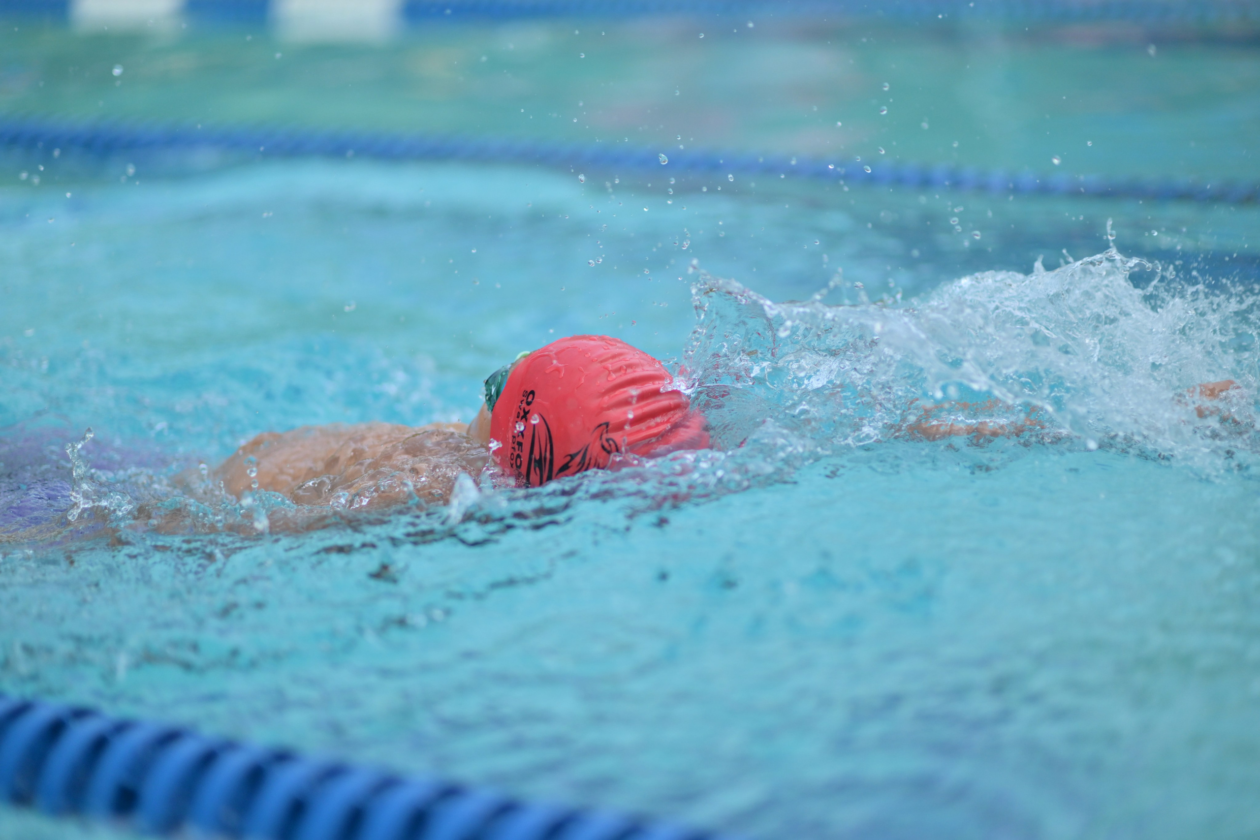 SwampFoxxes 2024. Family and Sports photographer in Cary Raleigh NC North Carolina