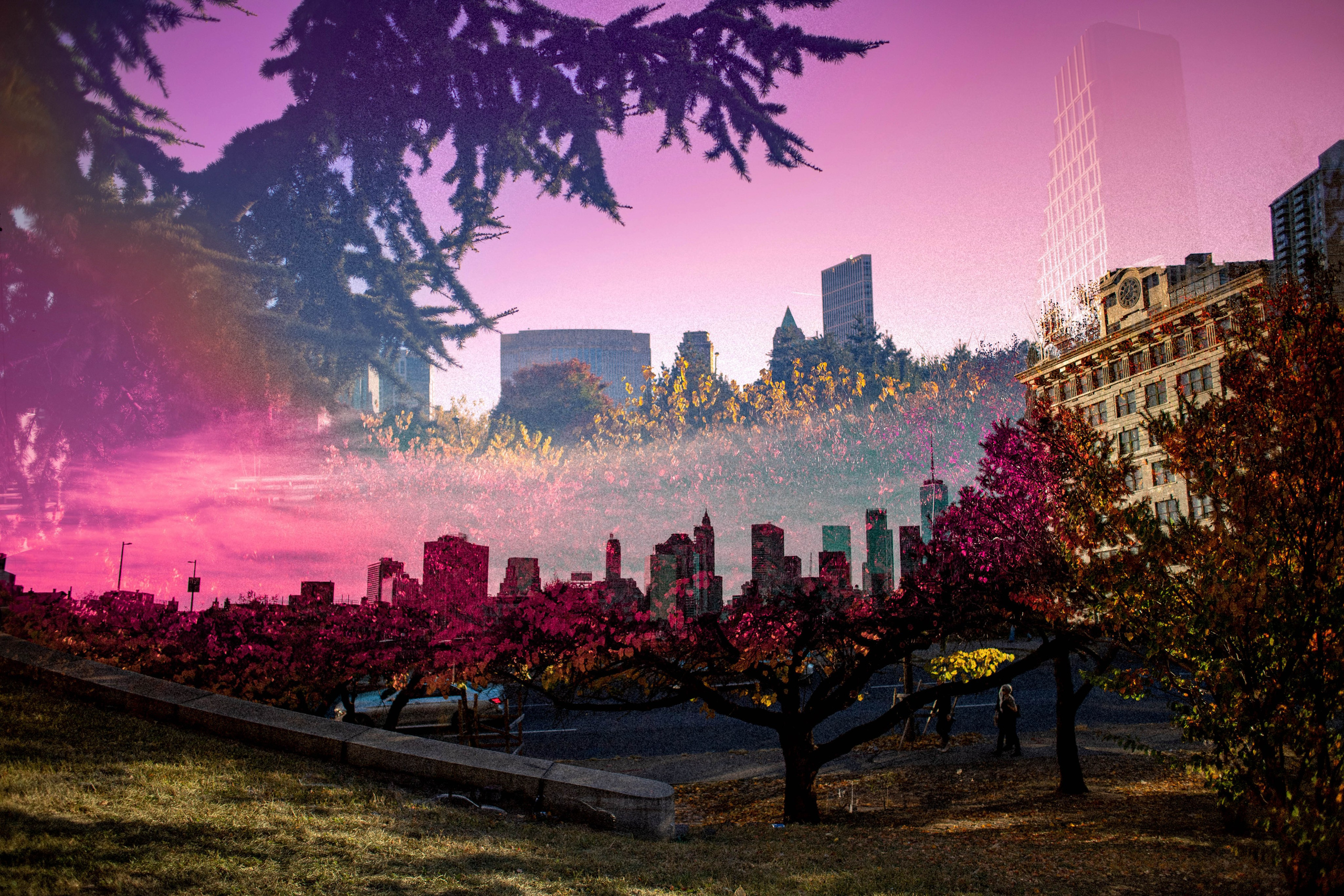 PINK SKY COLLECTION. Visual Artist Raisa Boiko