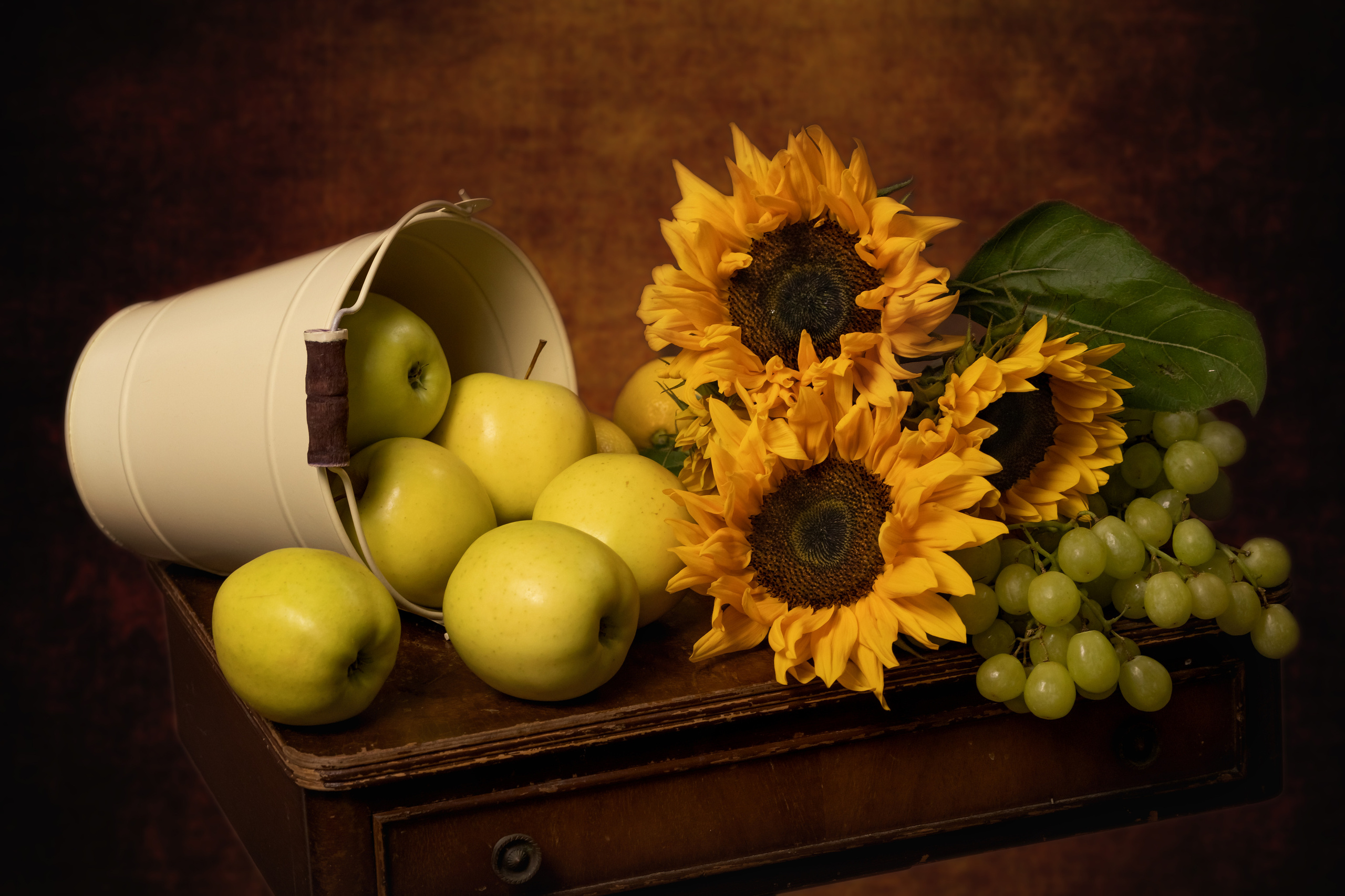 Контакты. Главная