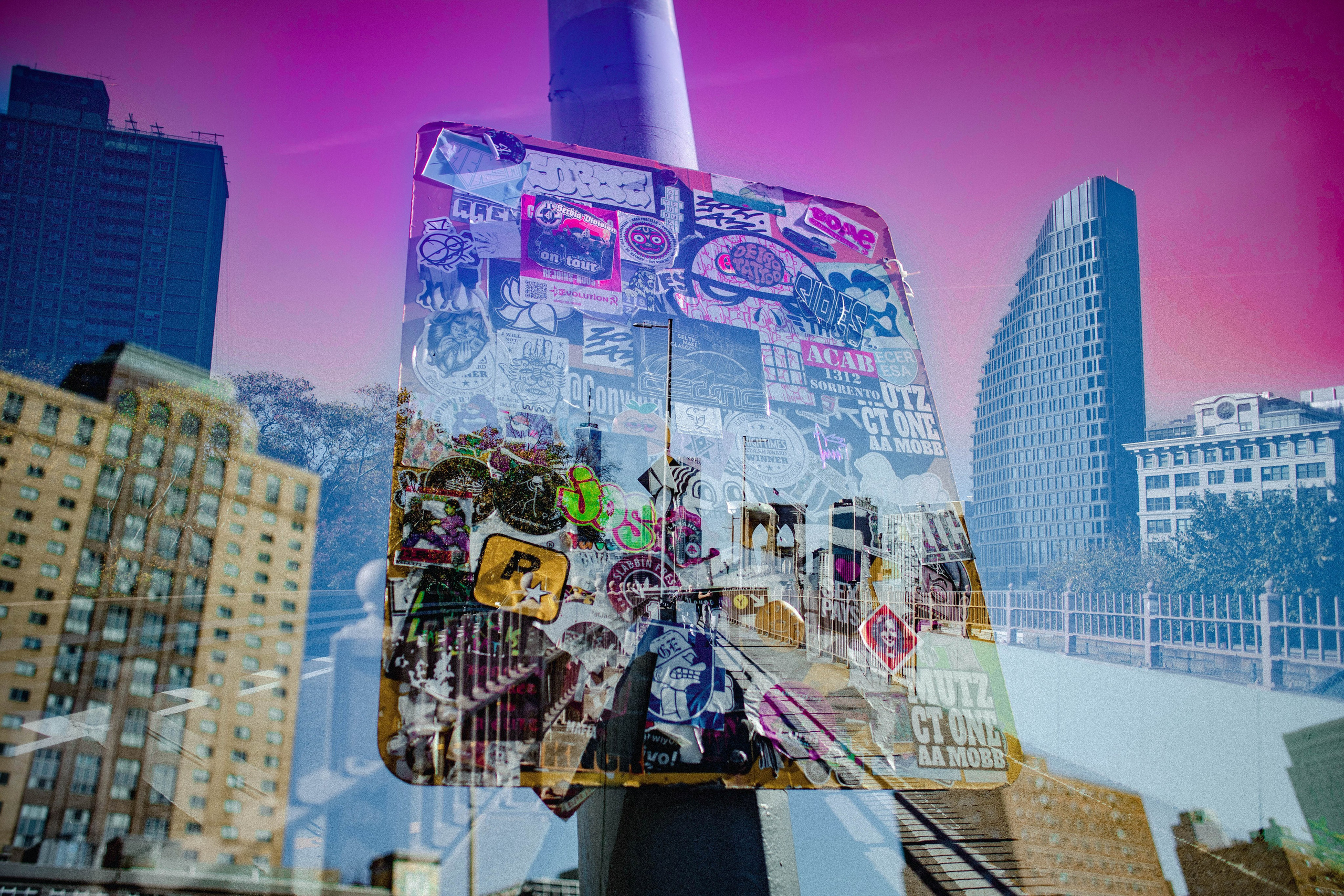 PINK SKY COLLECTION. Visual Artist Raisa Boiko