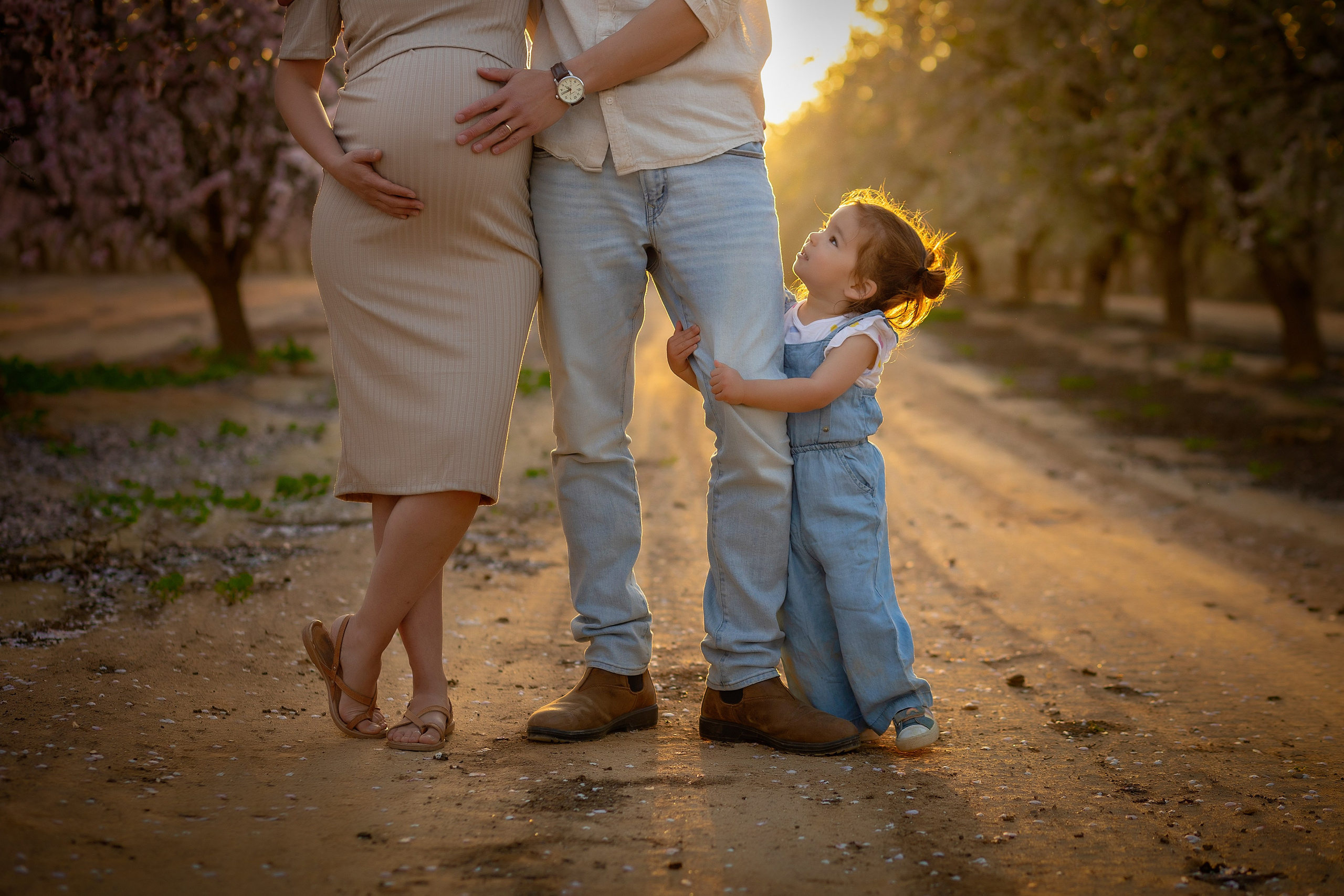 מחירון. דיאנה פרידמן-צלמת משפחה וילדים בישראל