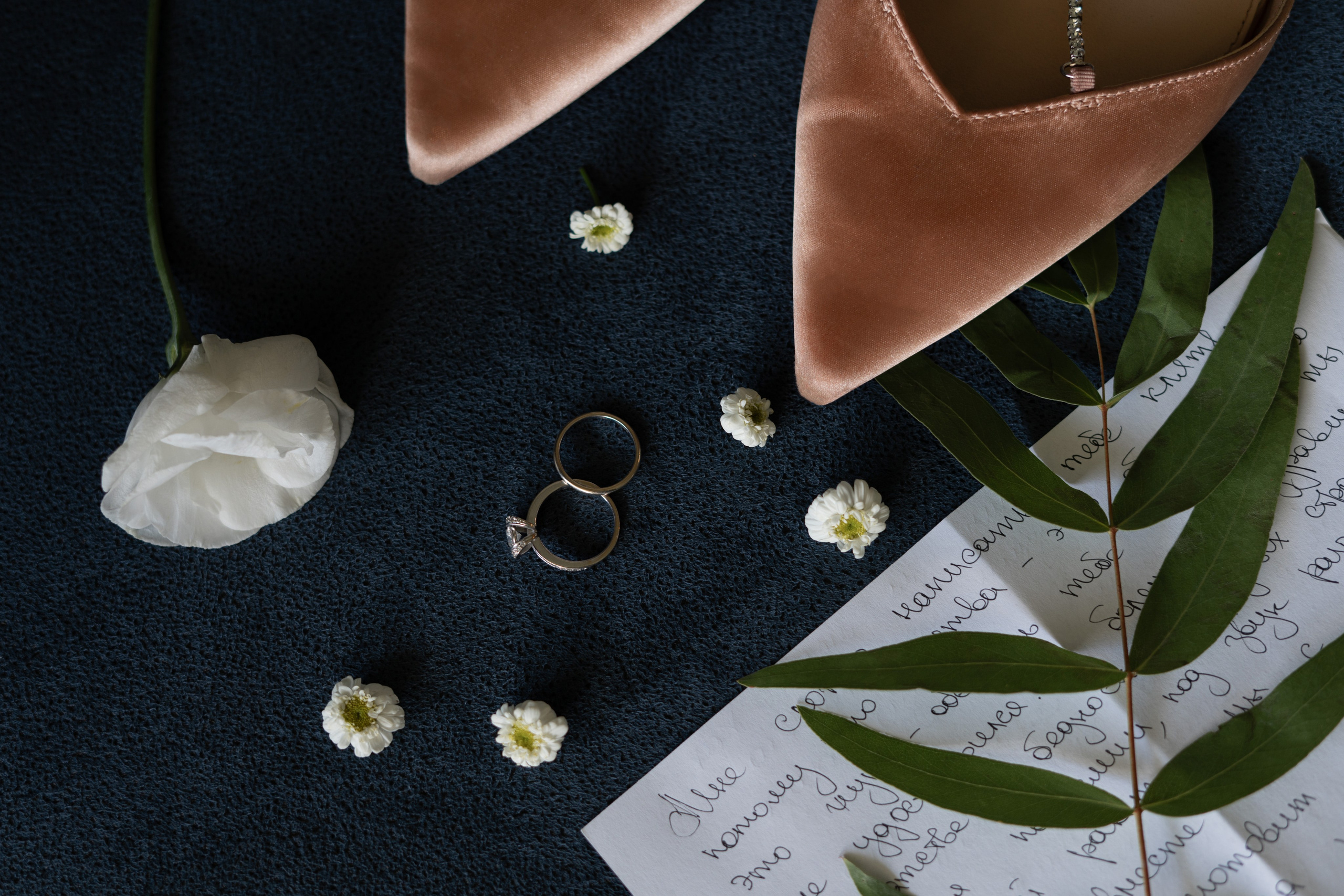 Price. Дарья Филькова — фотограф и видеограф в Тбилиси, Грузия