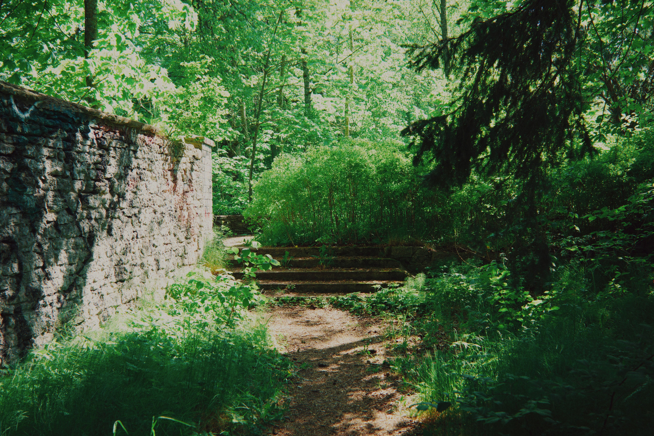 Estonian summer and Ricoh GR IIIx review. Artjom Kutuzov Photography