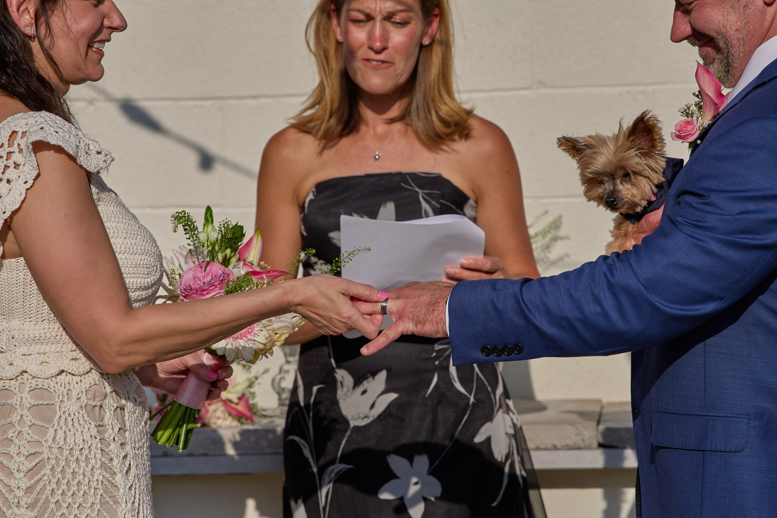 A Cozy Mini Wedding with Three Rescue Dogs. Kovyphoto