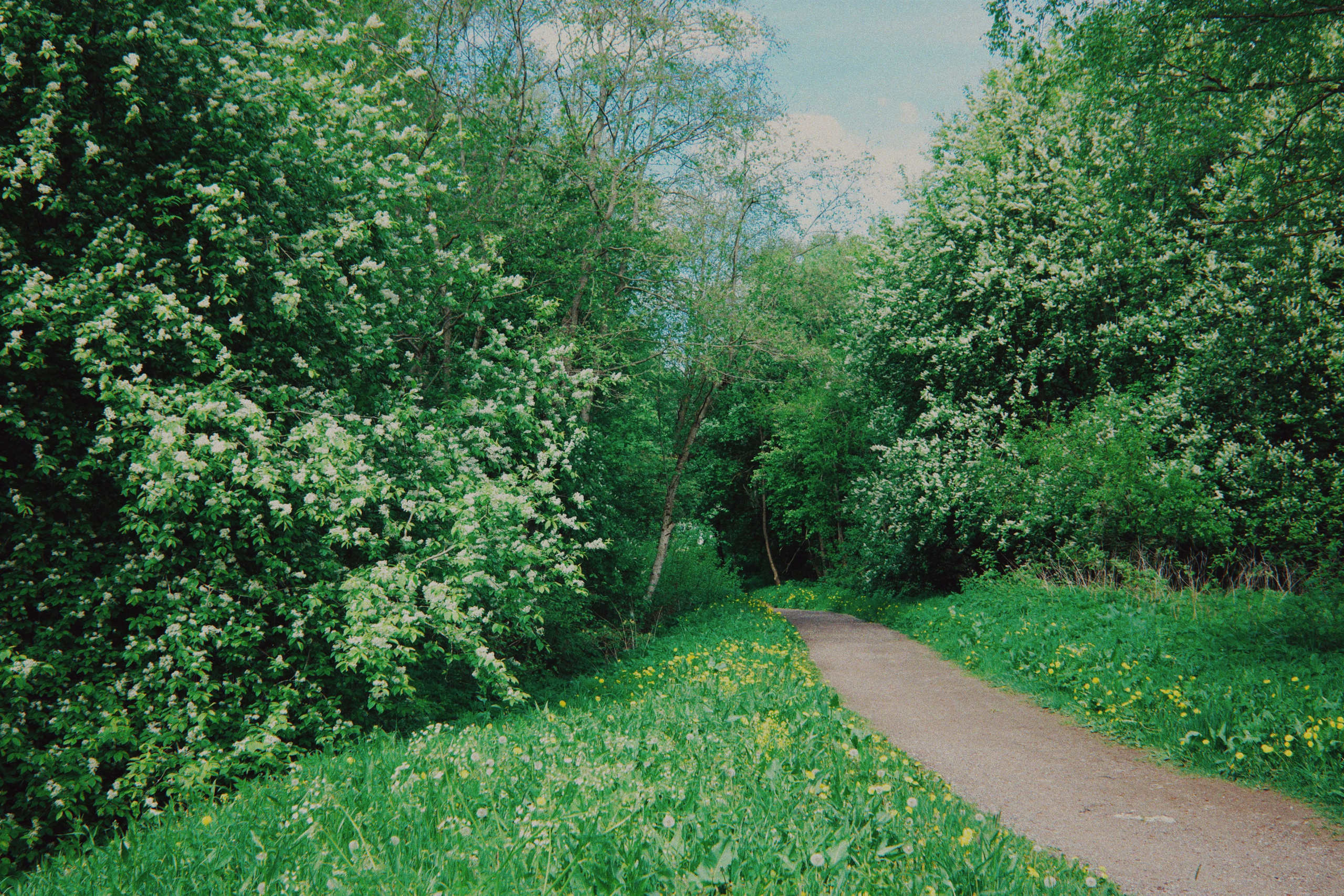 Estonian summer and Ricoh GR IIIx review. Artjom Kutuzov Photography