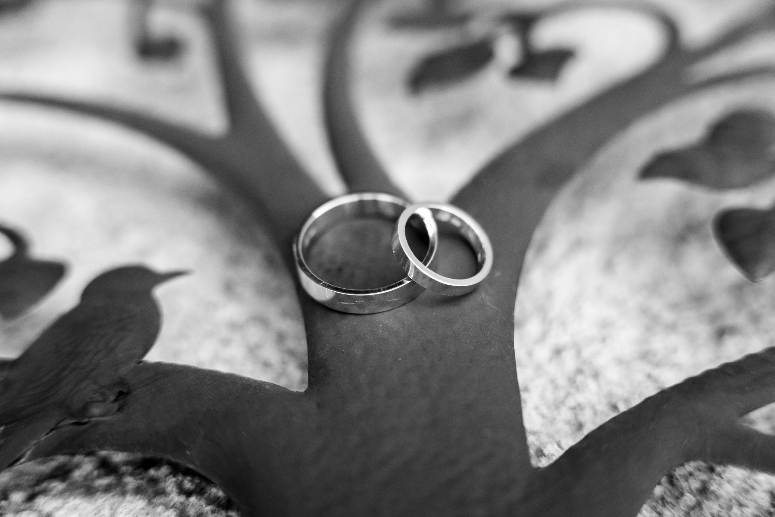 Fotograf nunta Bucuresti, Fotograf nunta Prahova, fotograf nunta,. Fotograf evenimente, fotograf nunta, fotograf botez