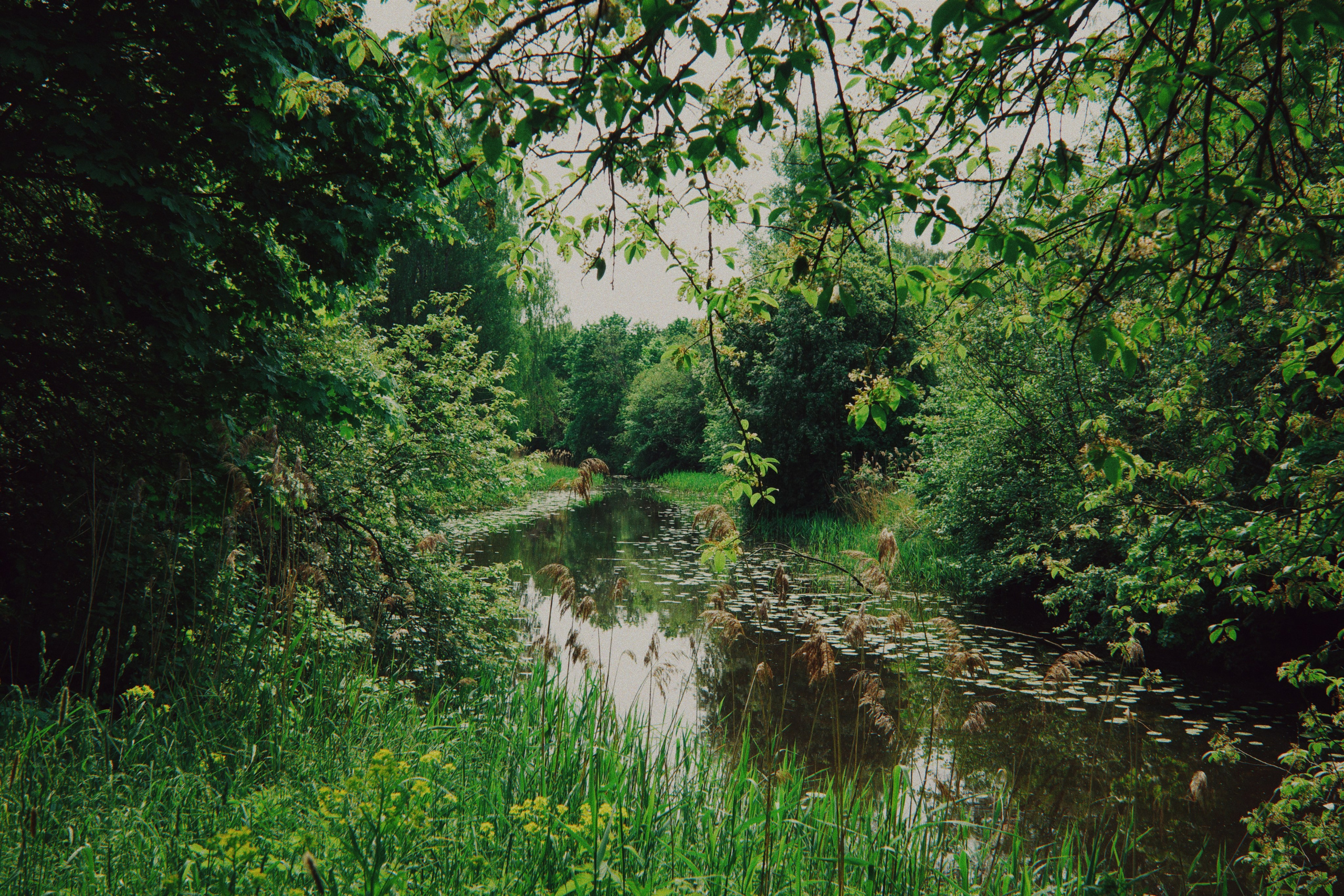 Estonian summer and Ricoh GR IIIx review. Artjom Kutuzov Photography