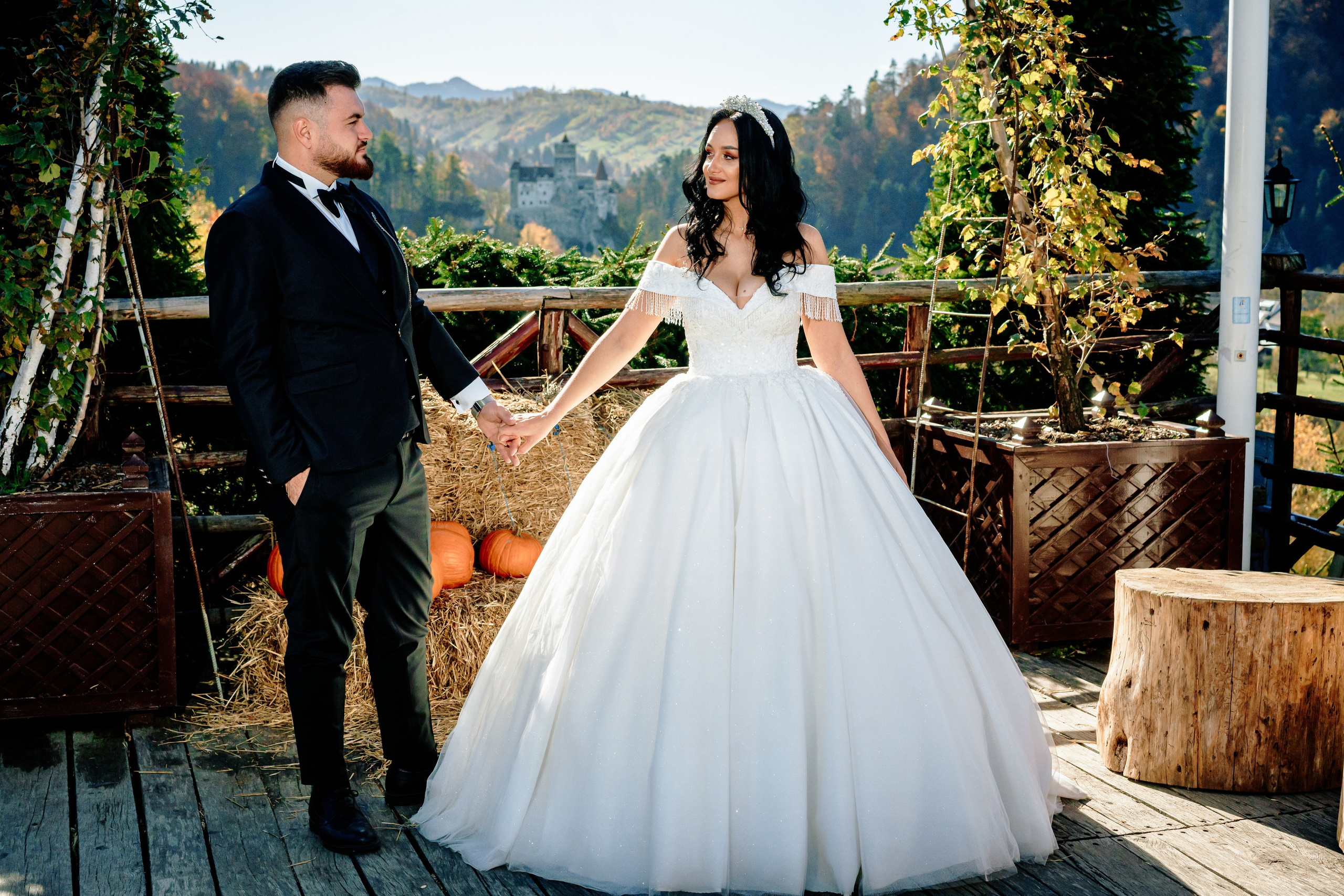 ProWED