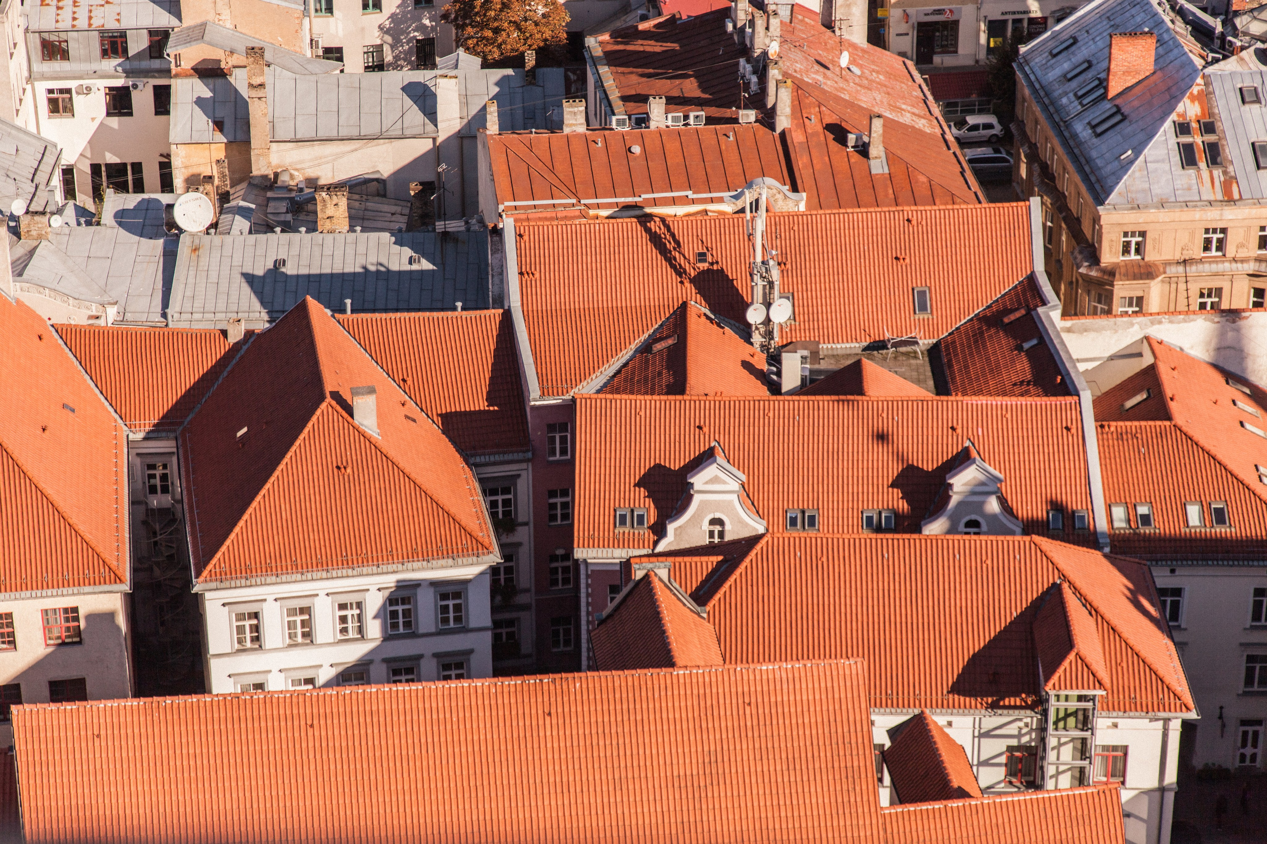 Рига в октябре. Фотограф в Германии — Мария Чистякова