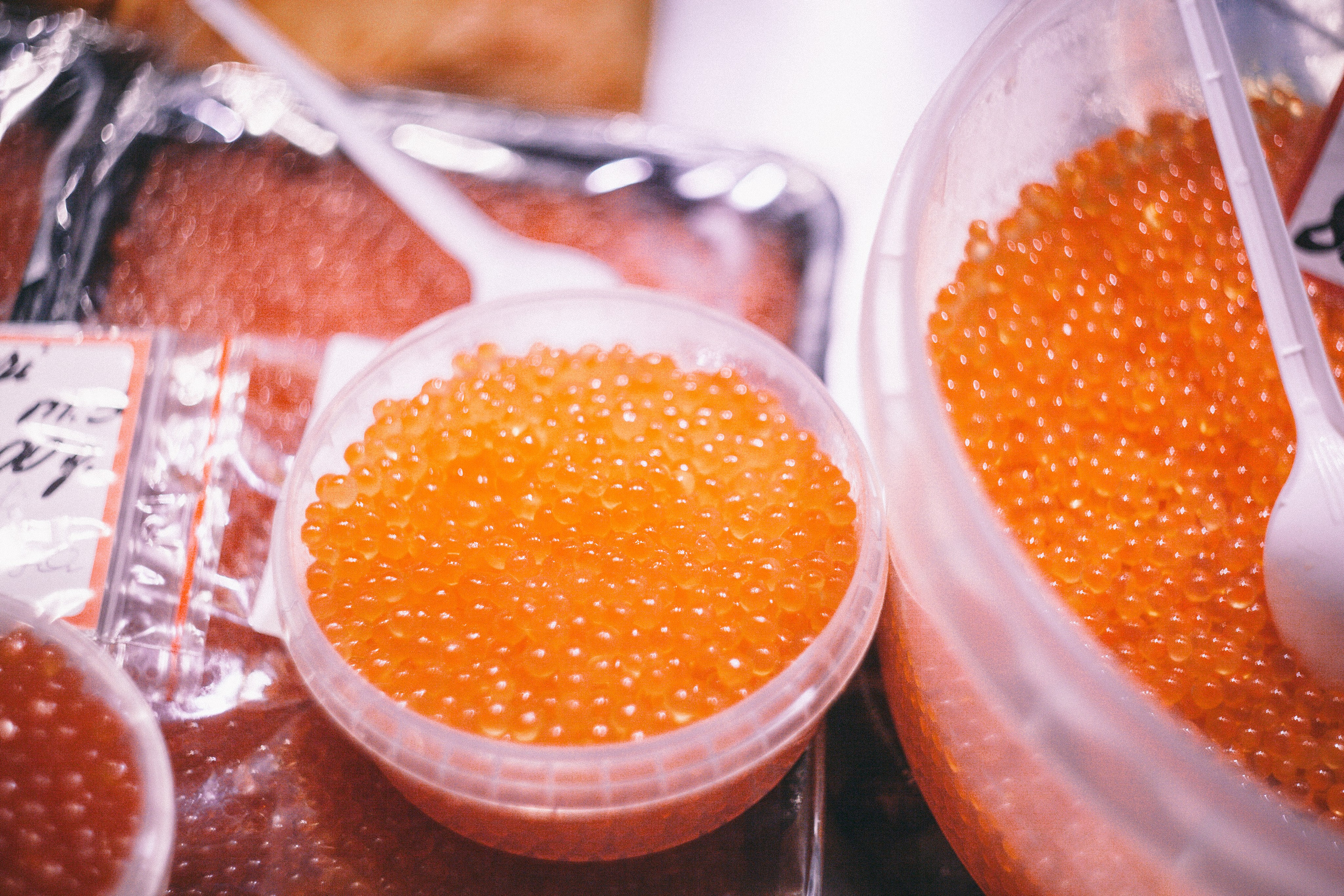 Рига в октябре. Фотограф в Германии — Мария Чистякова