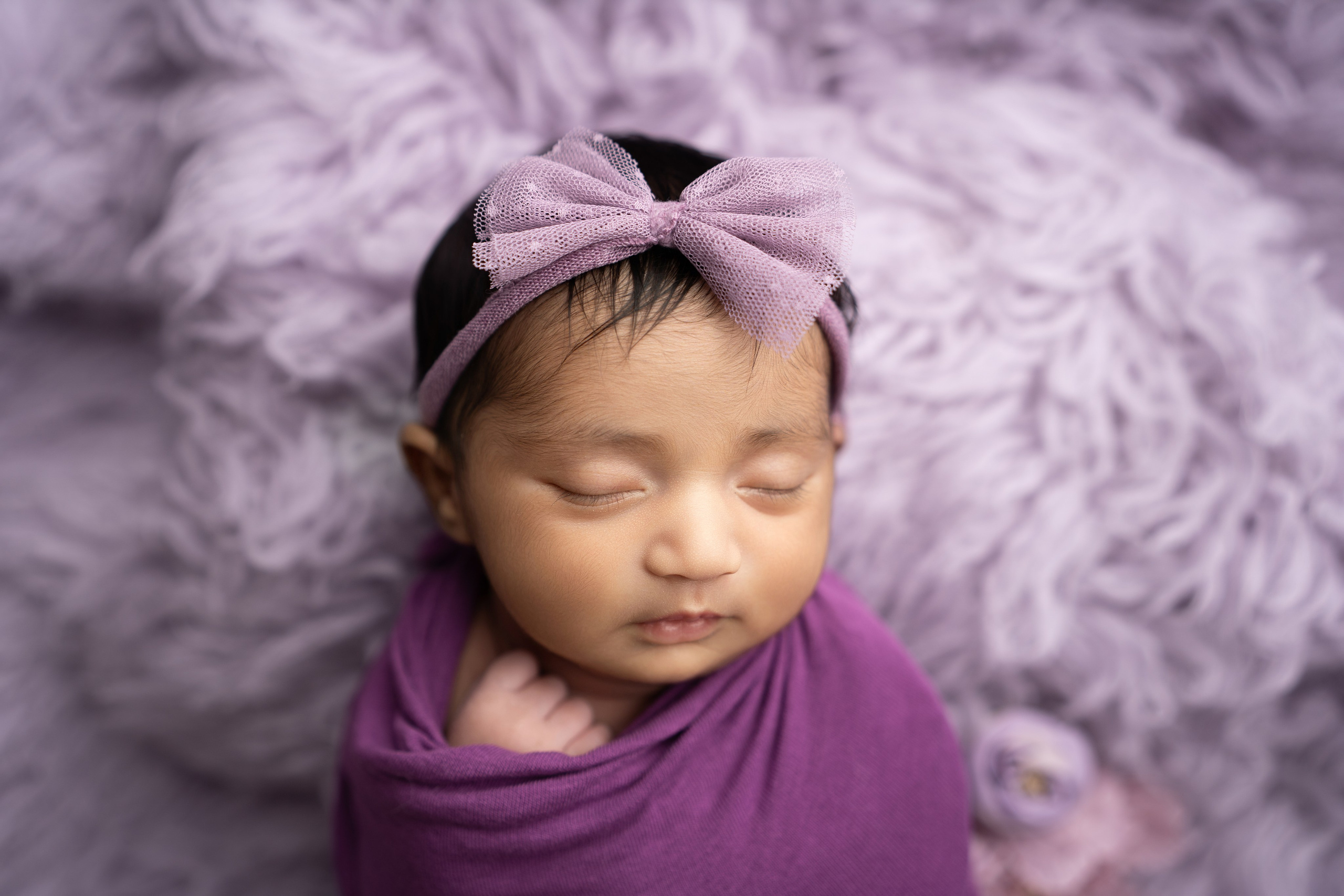 The Studio. Maternity, family and newborn photography in San Francisco Bay Area