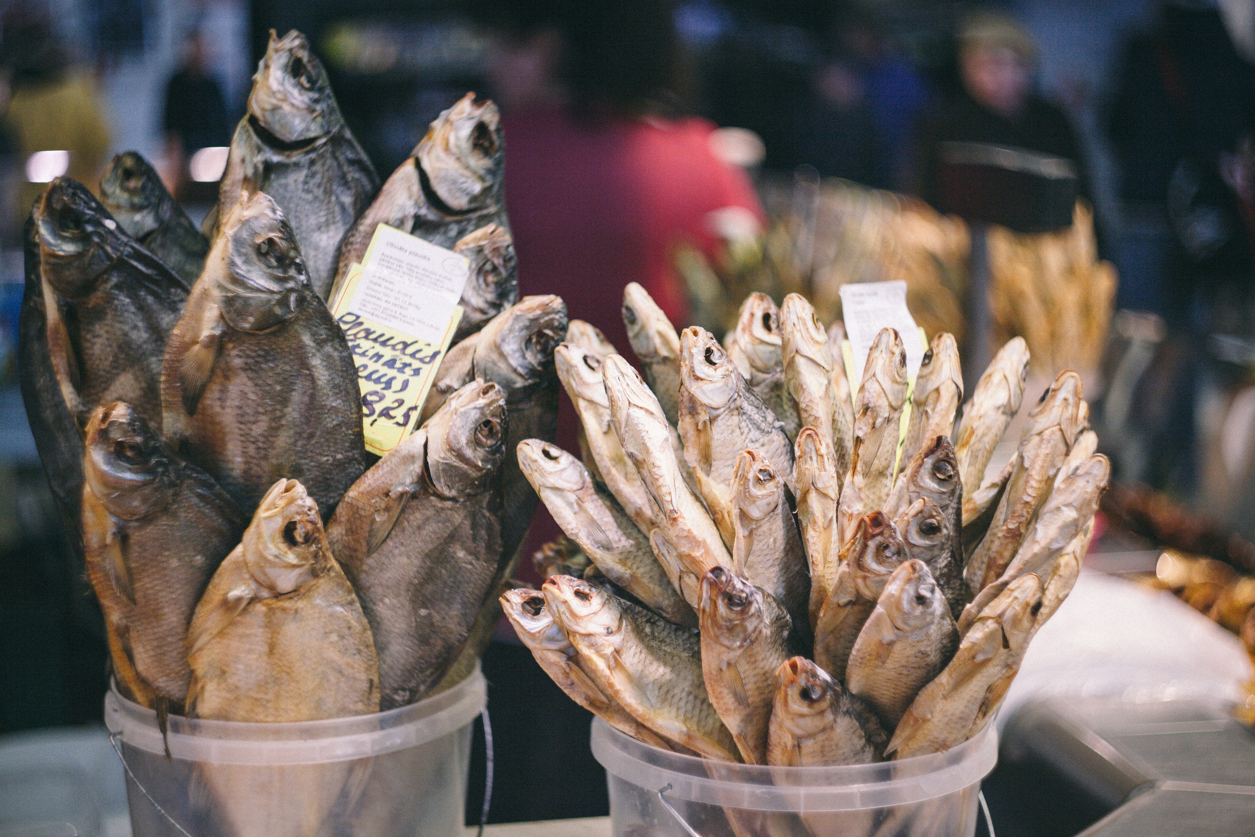 Рига в октябре. Фотограф в Германии — Мария Чистякова