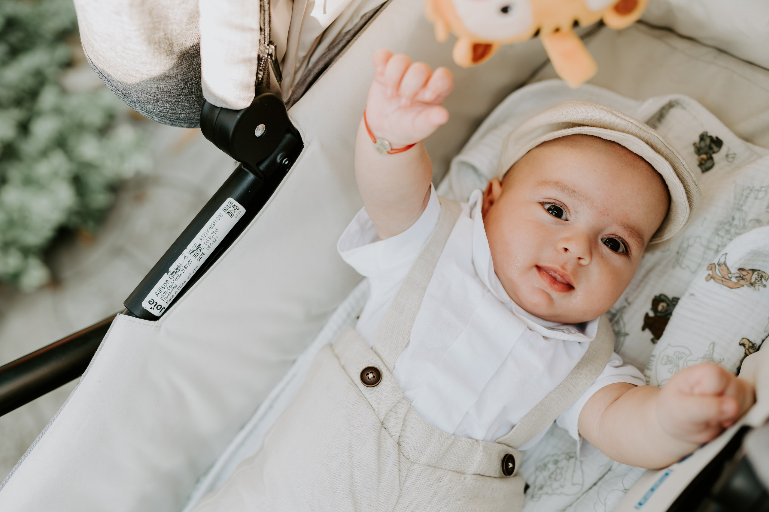 Despre mine. Catalin Brinza