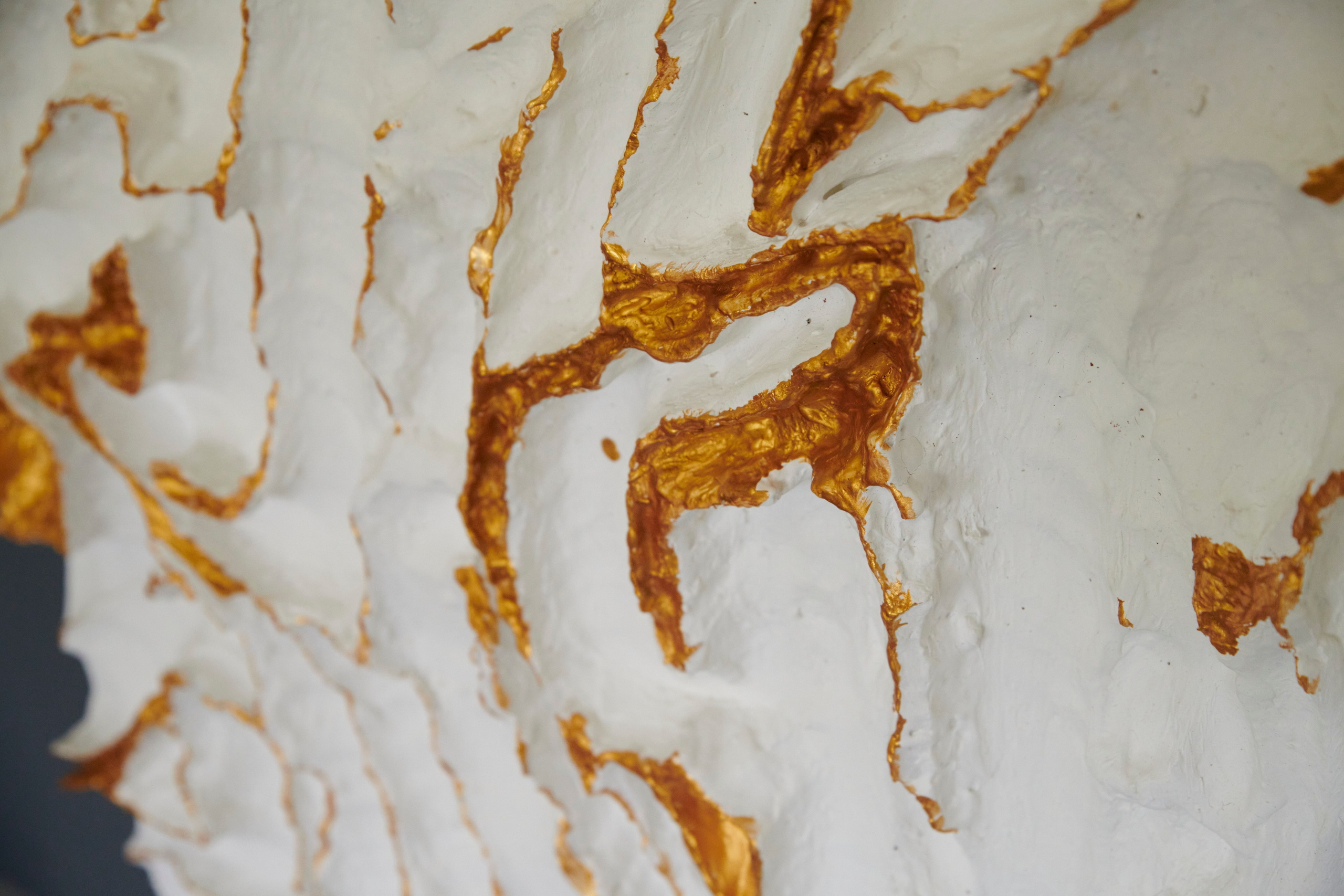 Exhibition. Studio De Ros — Professional Photography Services