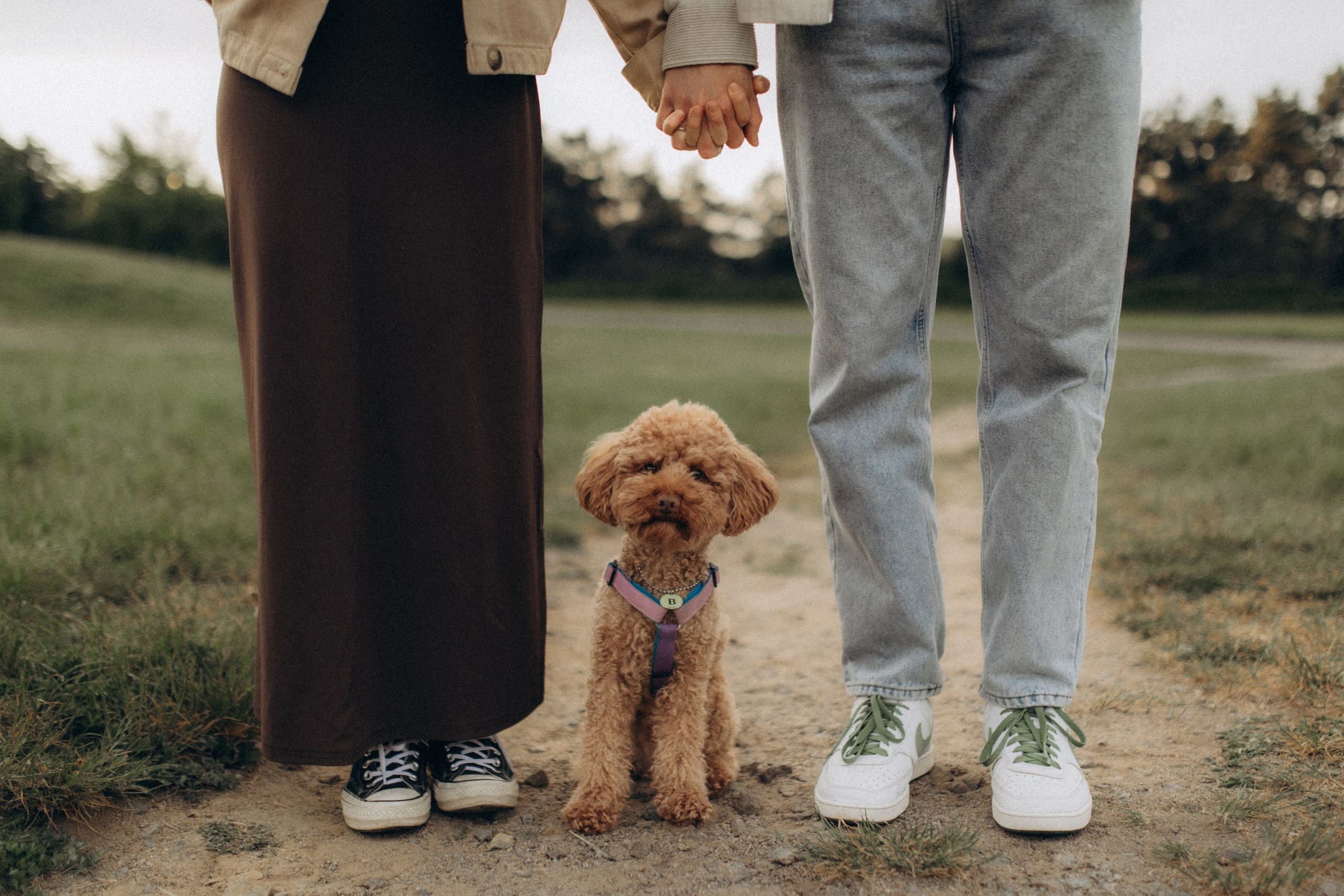 Бронювання. Фотограф-анімаліст Київ