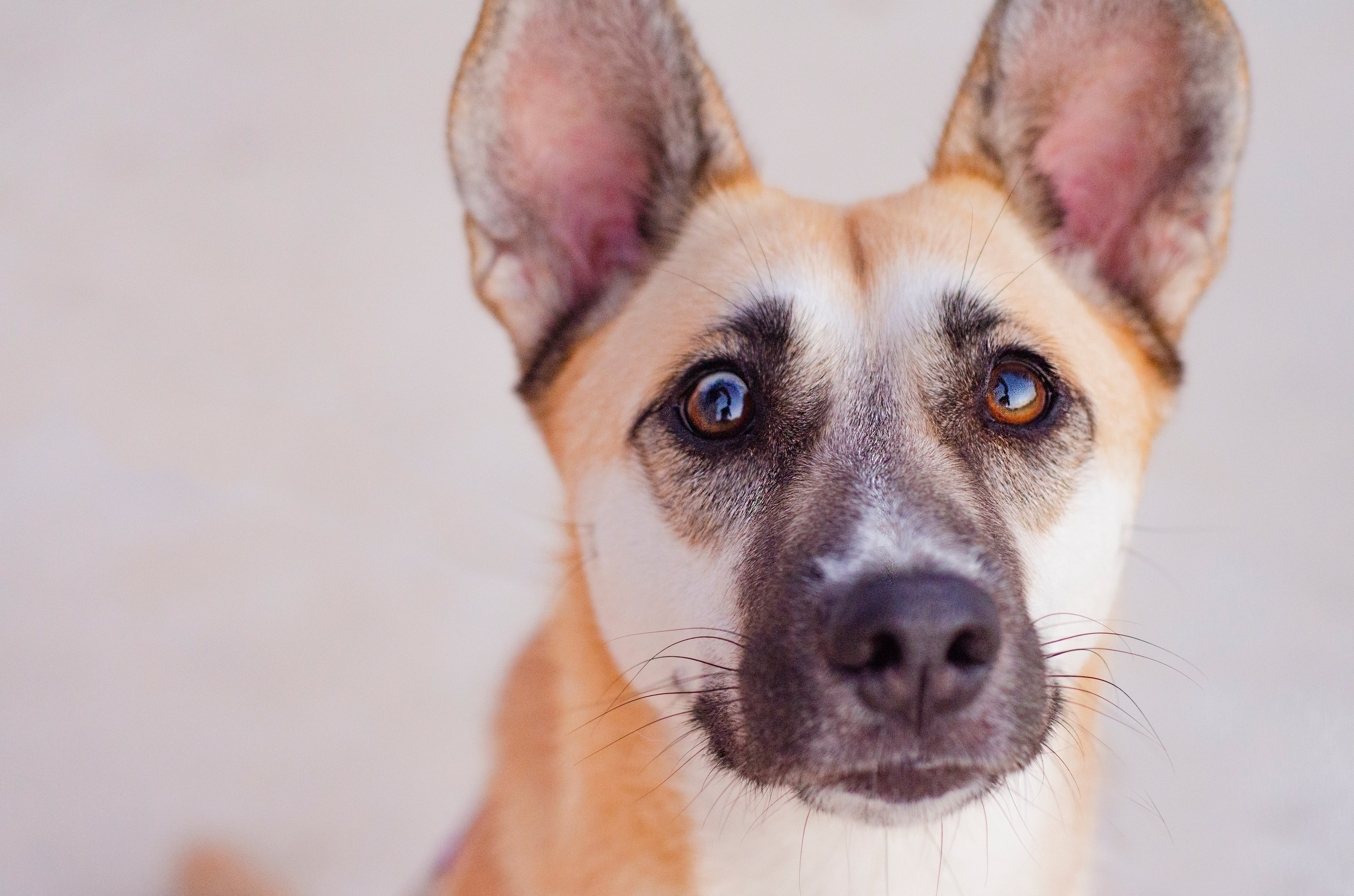 Services. Photographer in Israel Victoria Vayzer