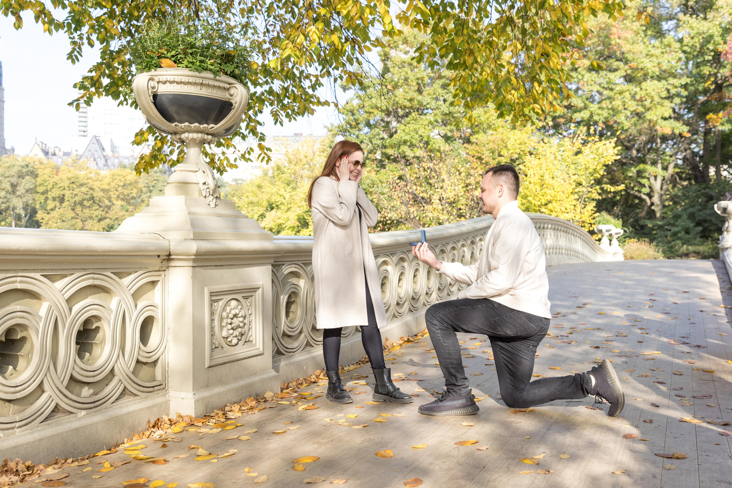 Melhores cenários do Central Park para Pedidos de Casamento