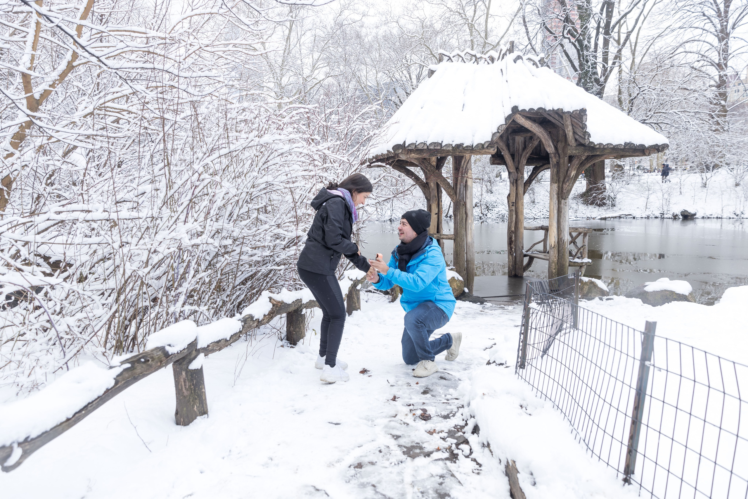 Melhores cenários do Central Park para Pedidos de Casamento