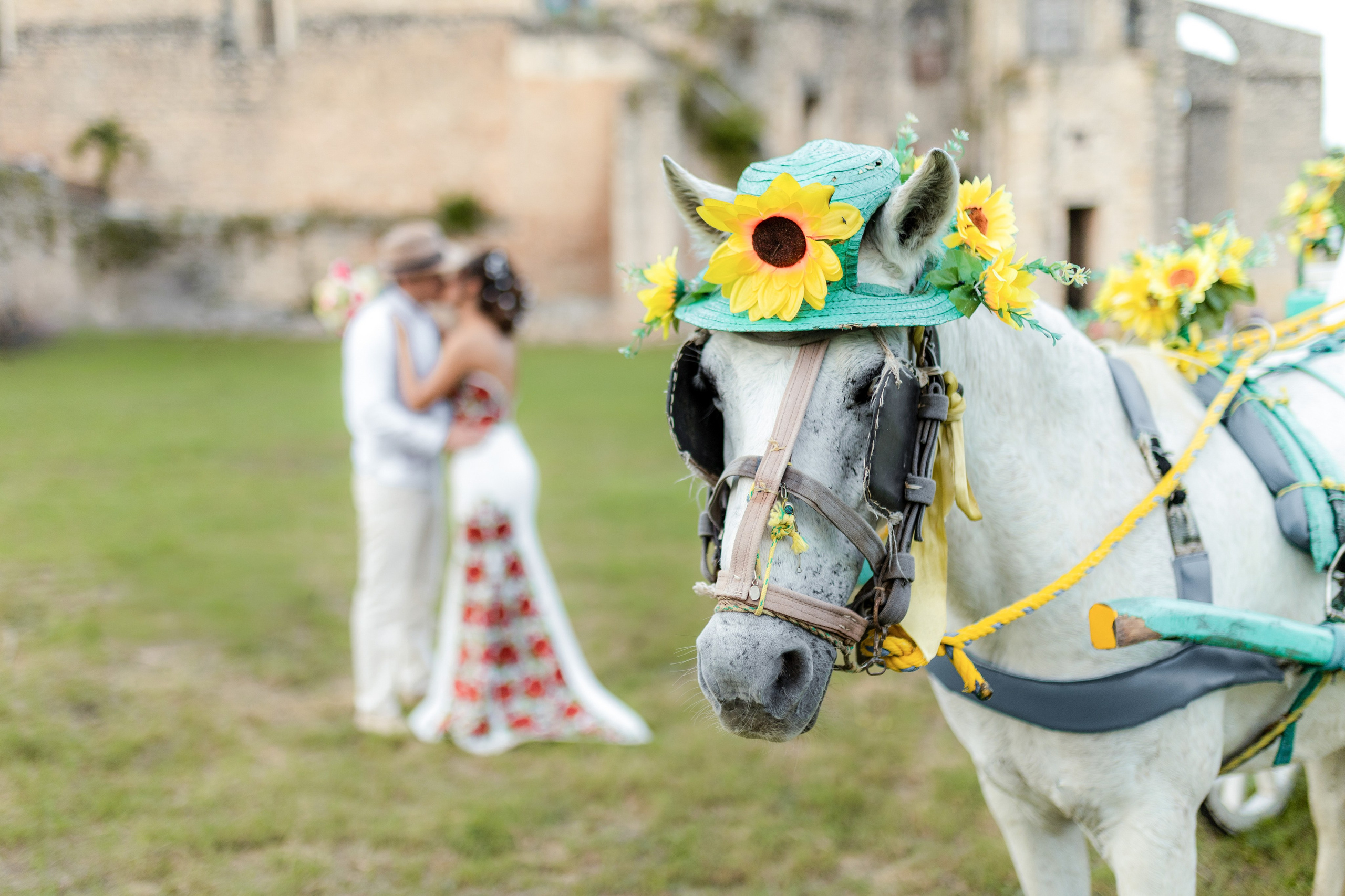 Eduardo Barrientos Fotografía