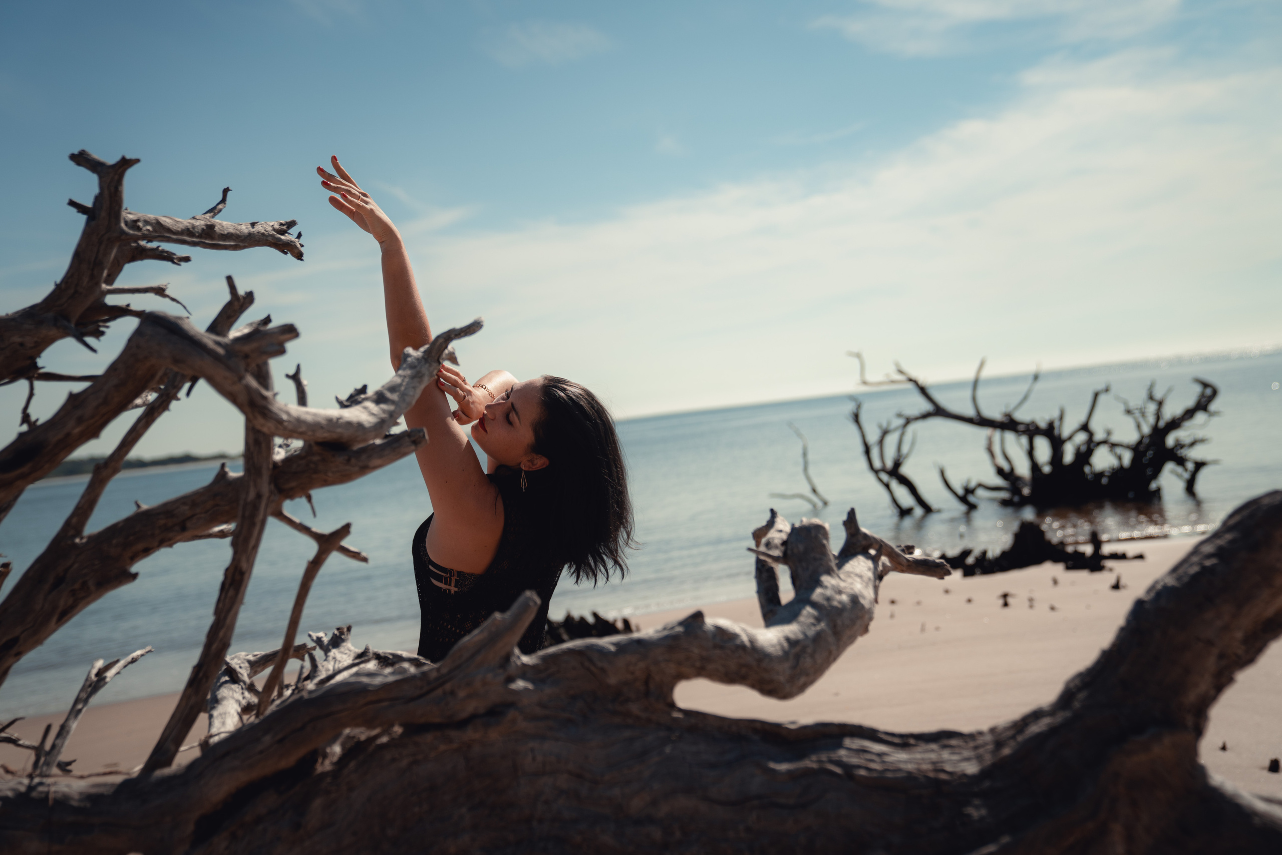 Big Talbot Island Boneyard Beach - Dreamy driftwood along the shore, Jacksonville.