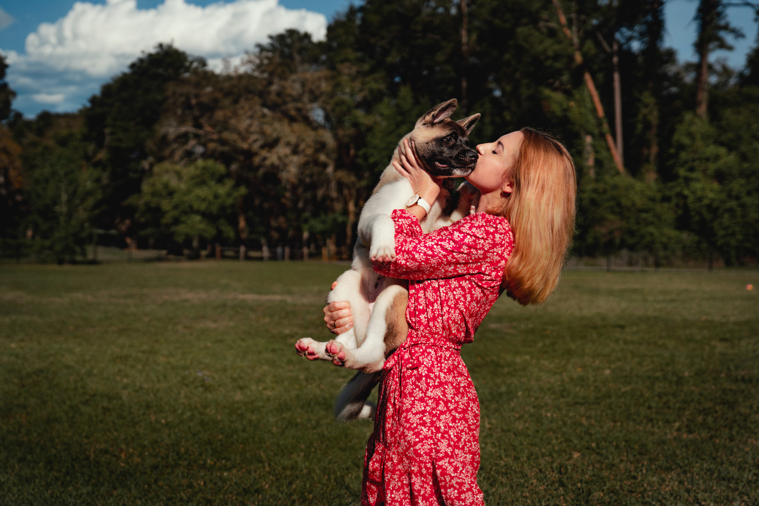 Blue Cypress Park and Reddie Point Preserve - Nature's beauty at Blue Cypress Park, Jacksonville.