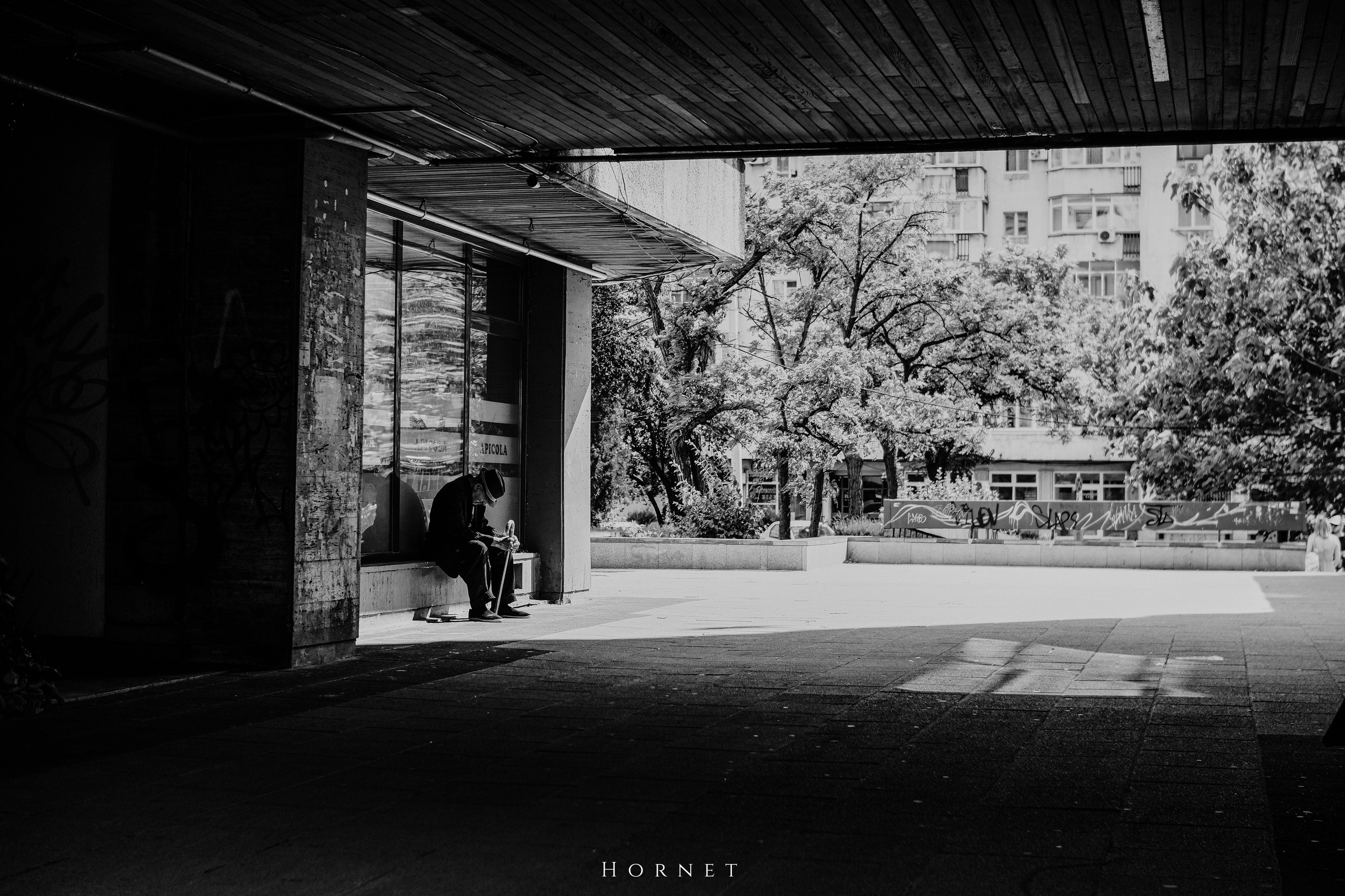 Triunghiurile Fotografiei. Hornetart