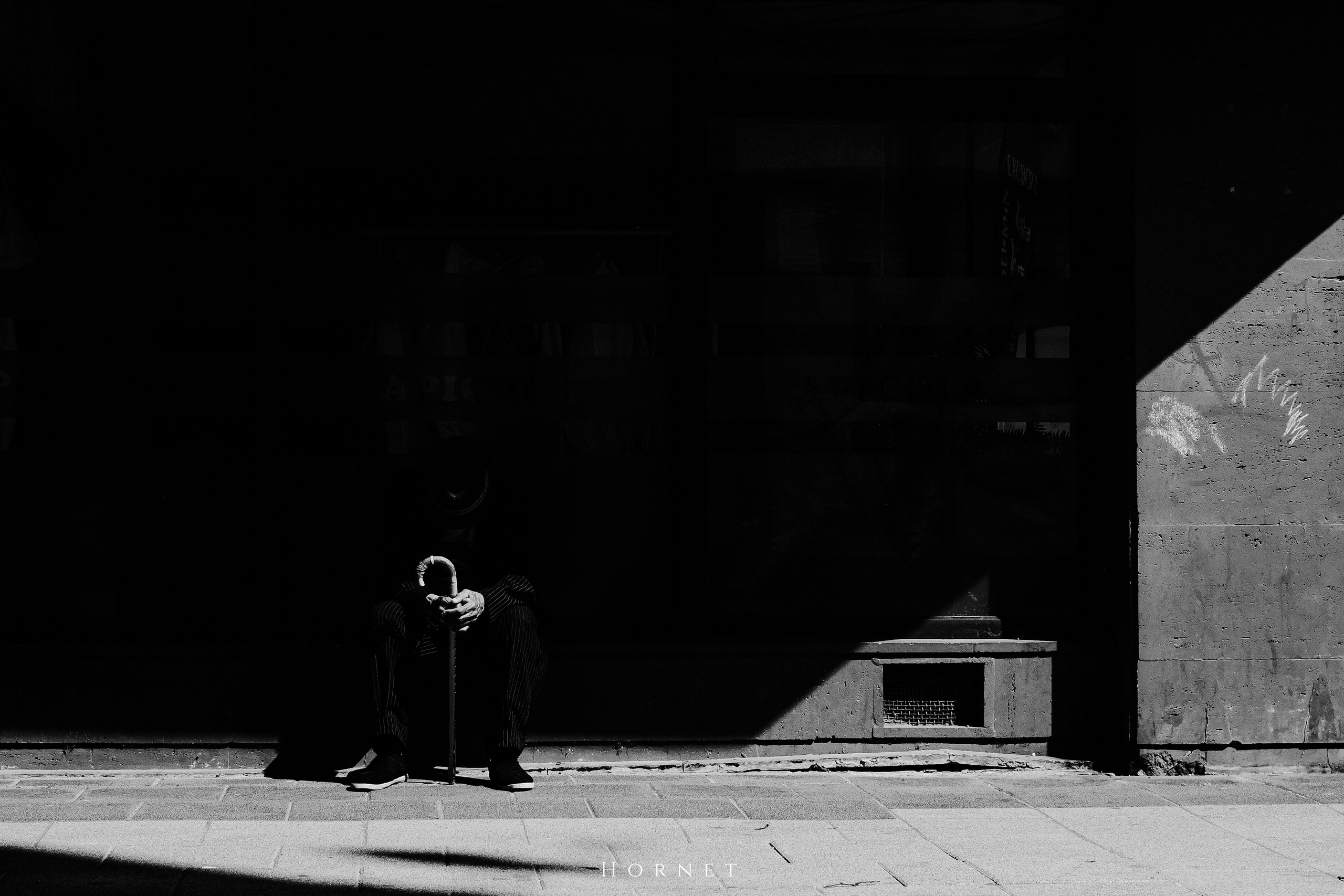Triunghiurile Fotografiei. Hornetart