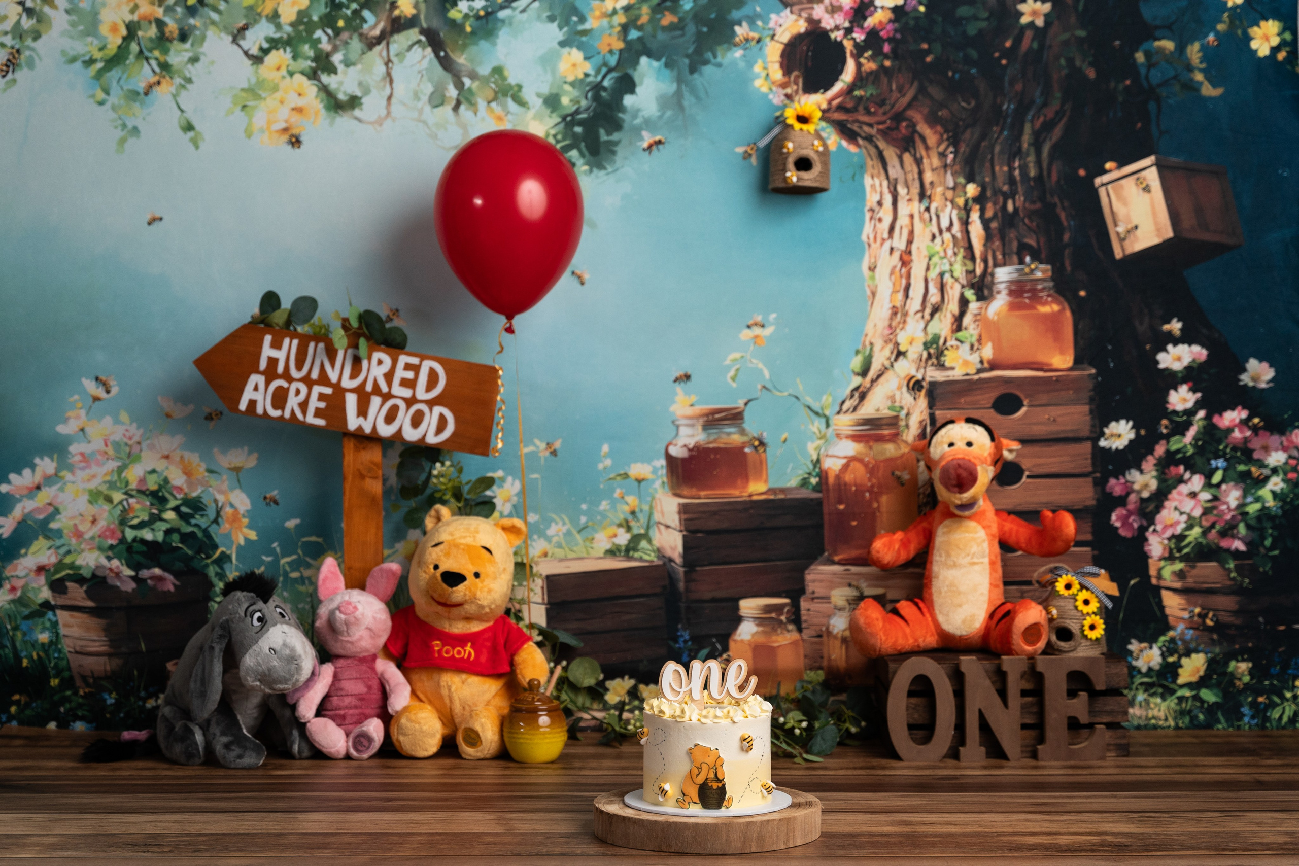 Cake Smash Themes. Newborn and family photographer. Hills District. Sydney