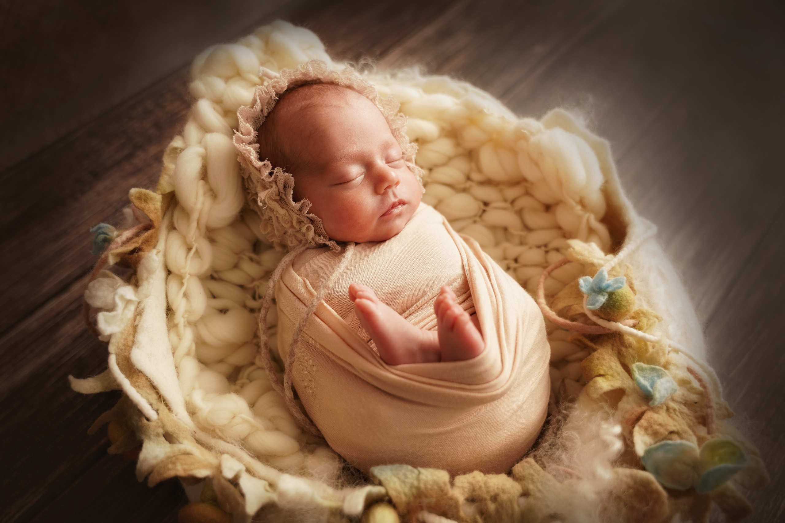 familien- und neugebohrenen fotoshooting kosten