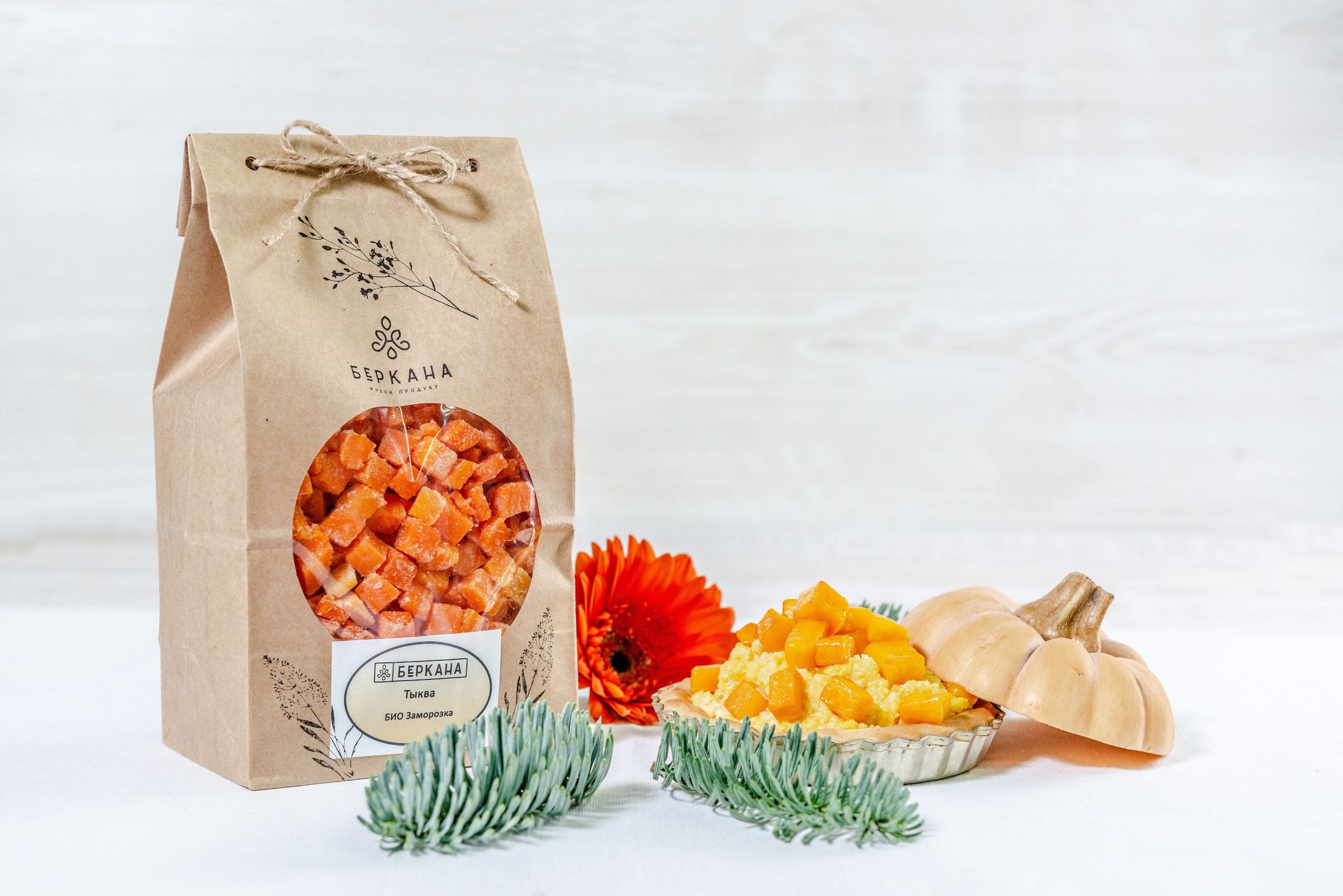 Prices. PHOTOGRAPHER QUINTANA ROO