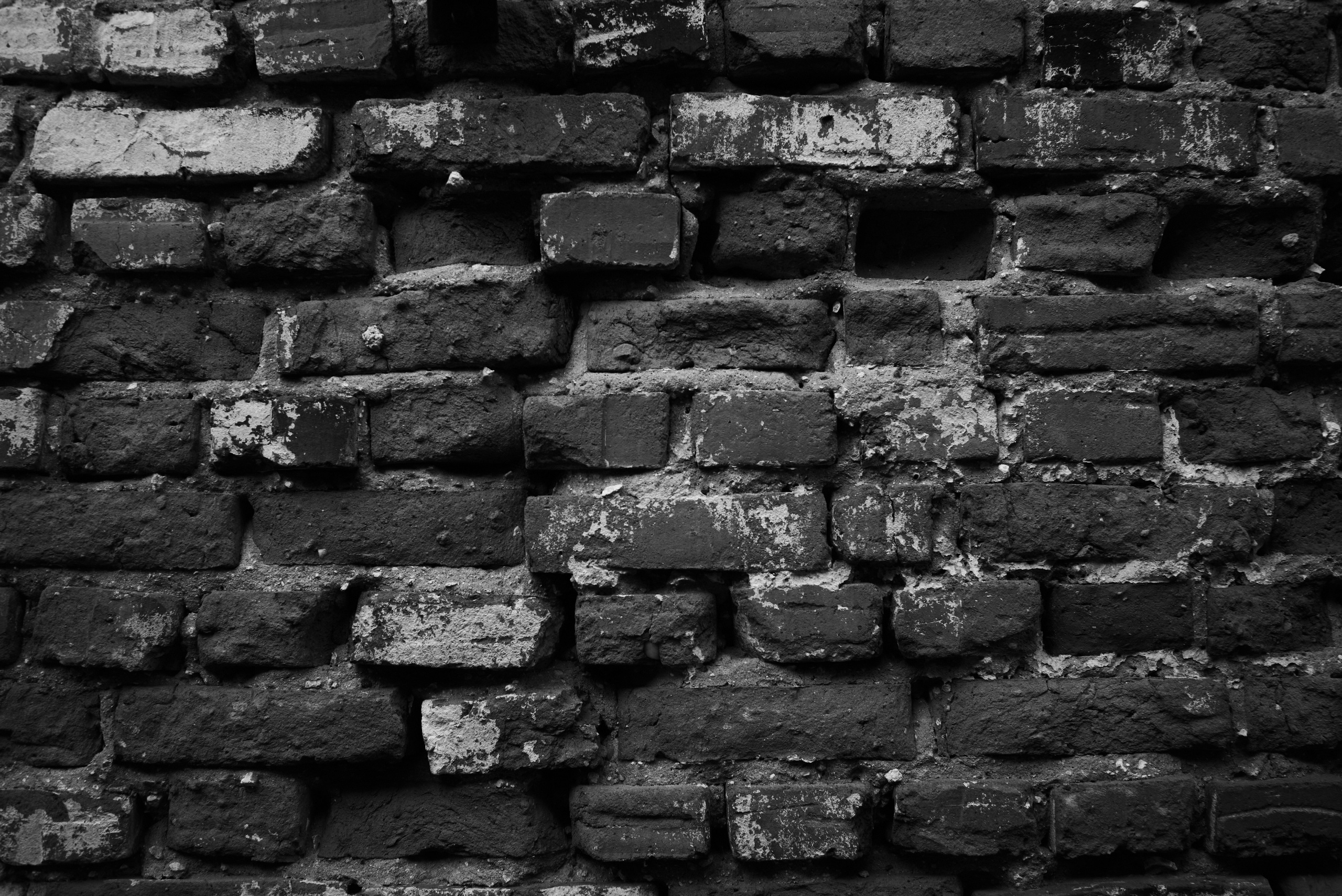 DISTROTION. Daniil Khaitseer photography