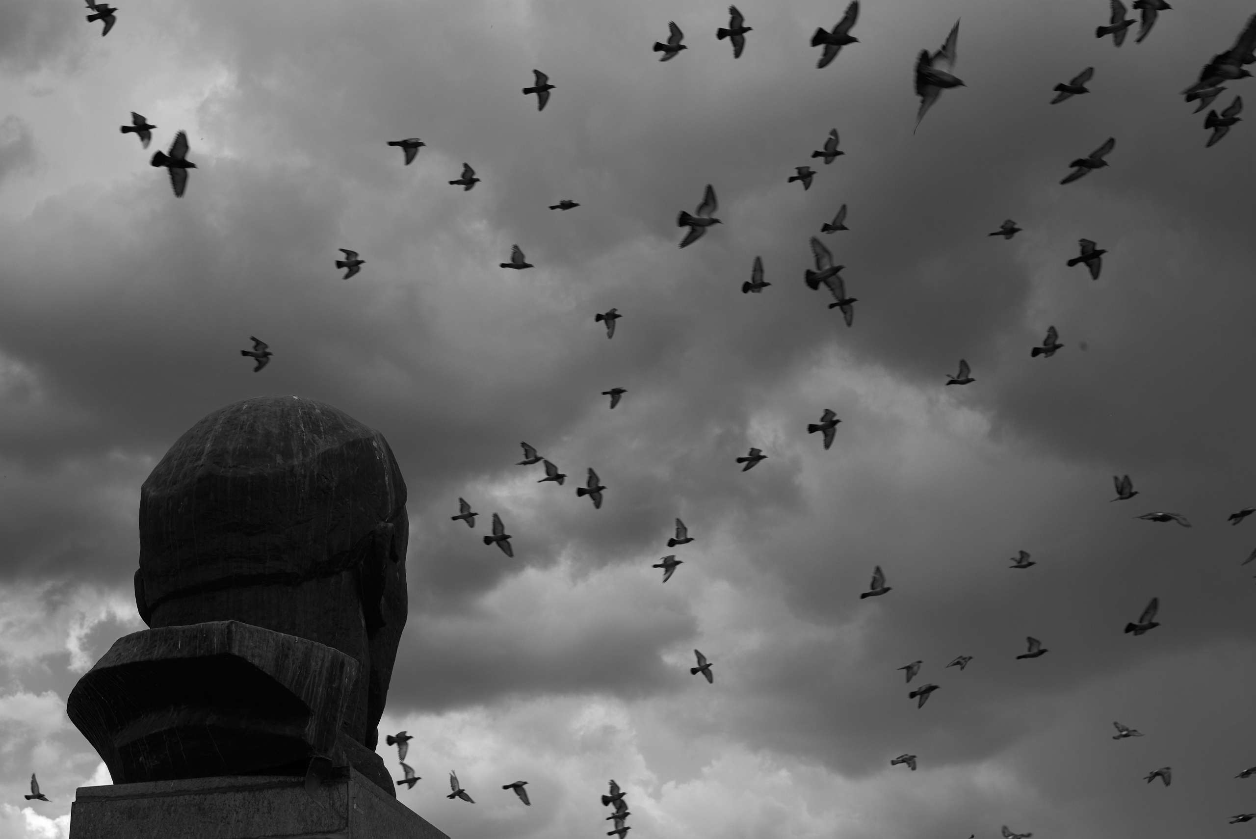 DISTROTION. Daniil Khaitseer photography