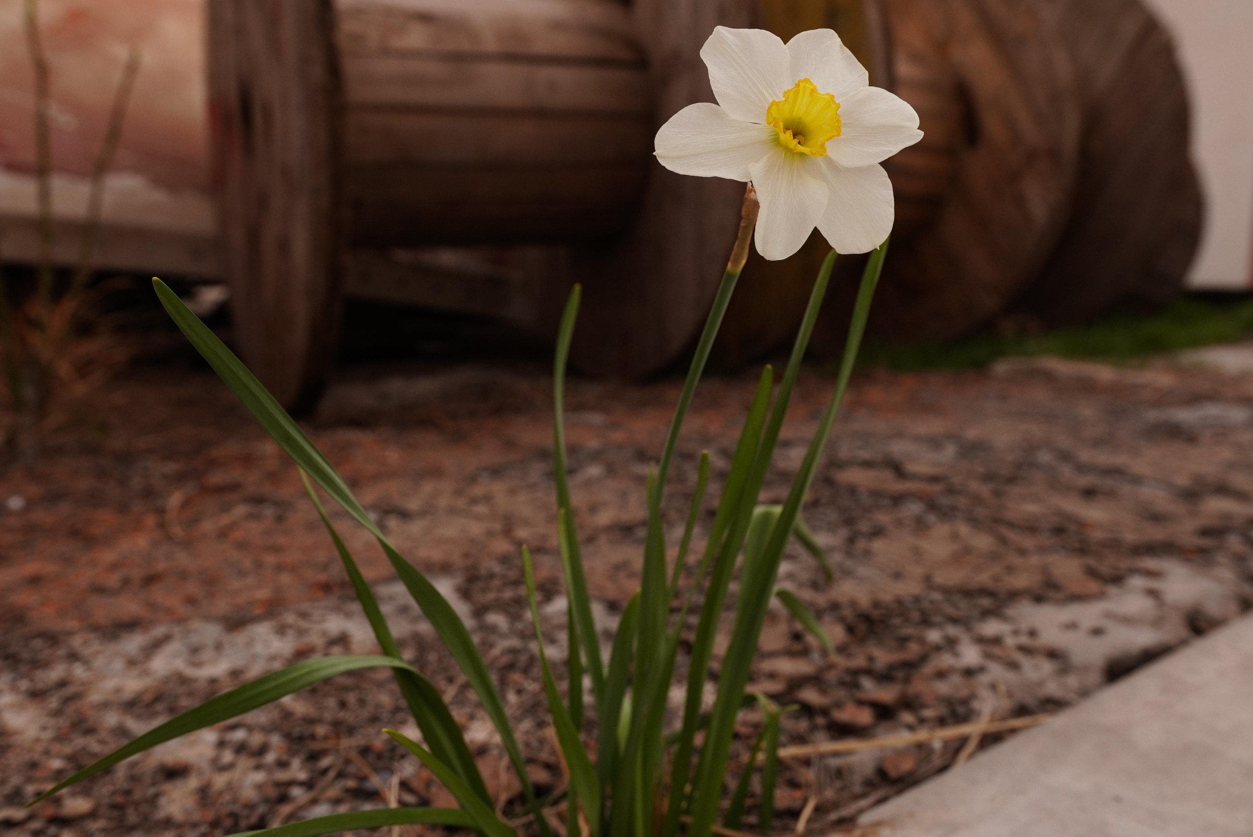 Sigma 18-35 F1.8 (Canon). Фотограф Григорий Кравец