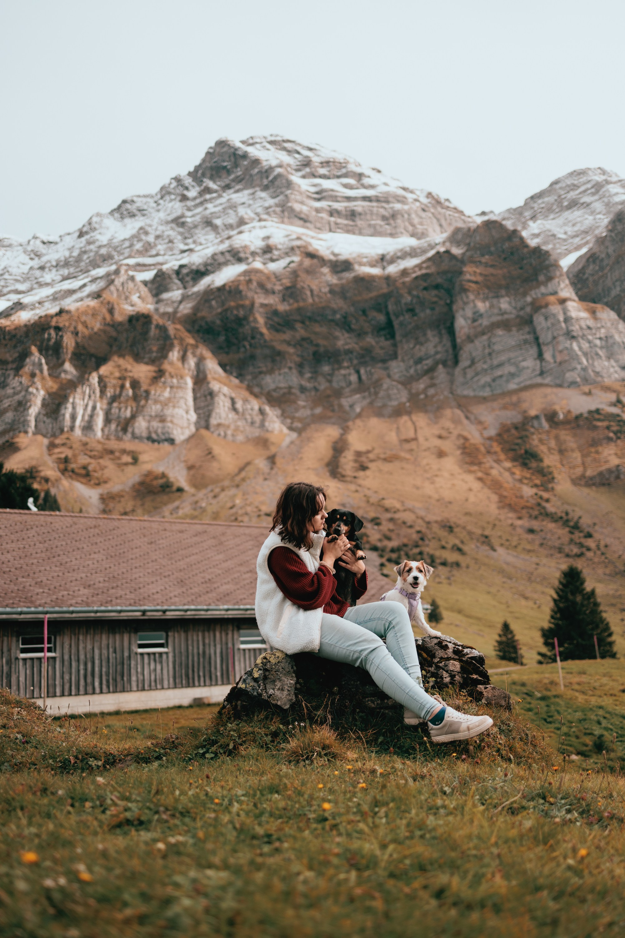 Preparation Tips. Dog&Horse Photographer Switzerland