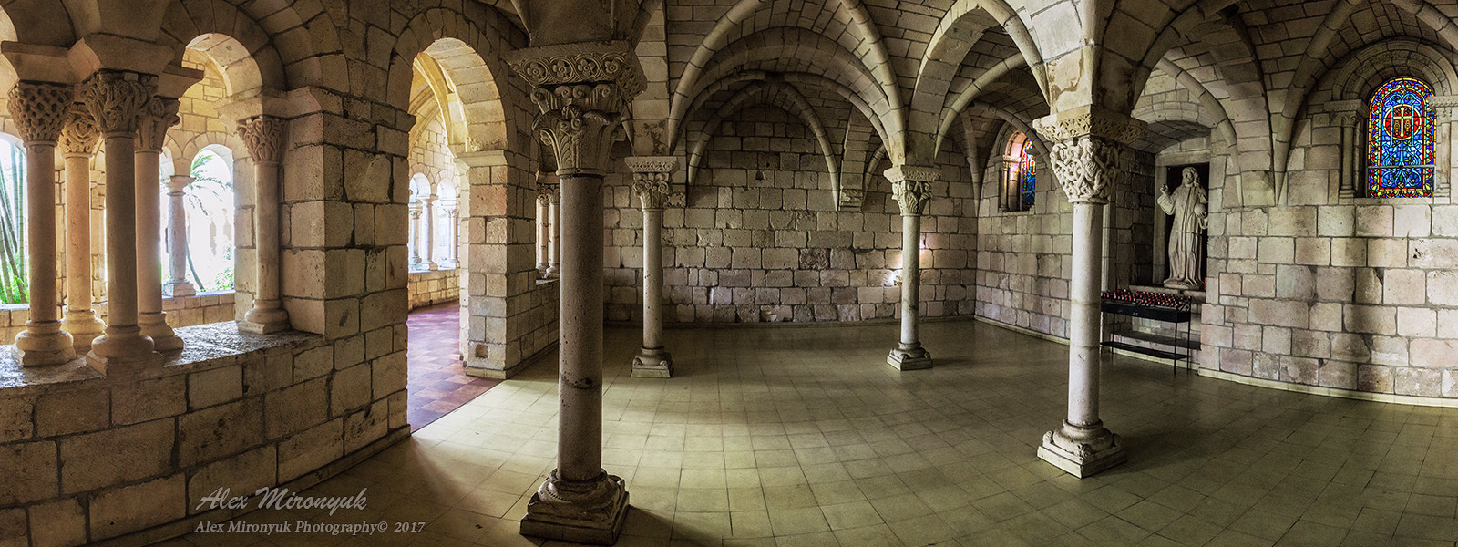 Pet, Senior, Landscape, portrait studio, photographer in Miami and Sou