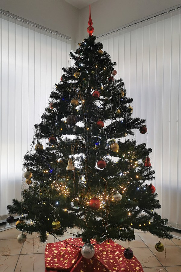 Наше бюро. Elina Reisen. Туристическое агентство в Аугсбурге