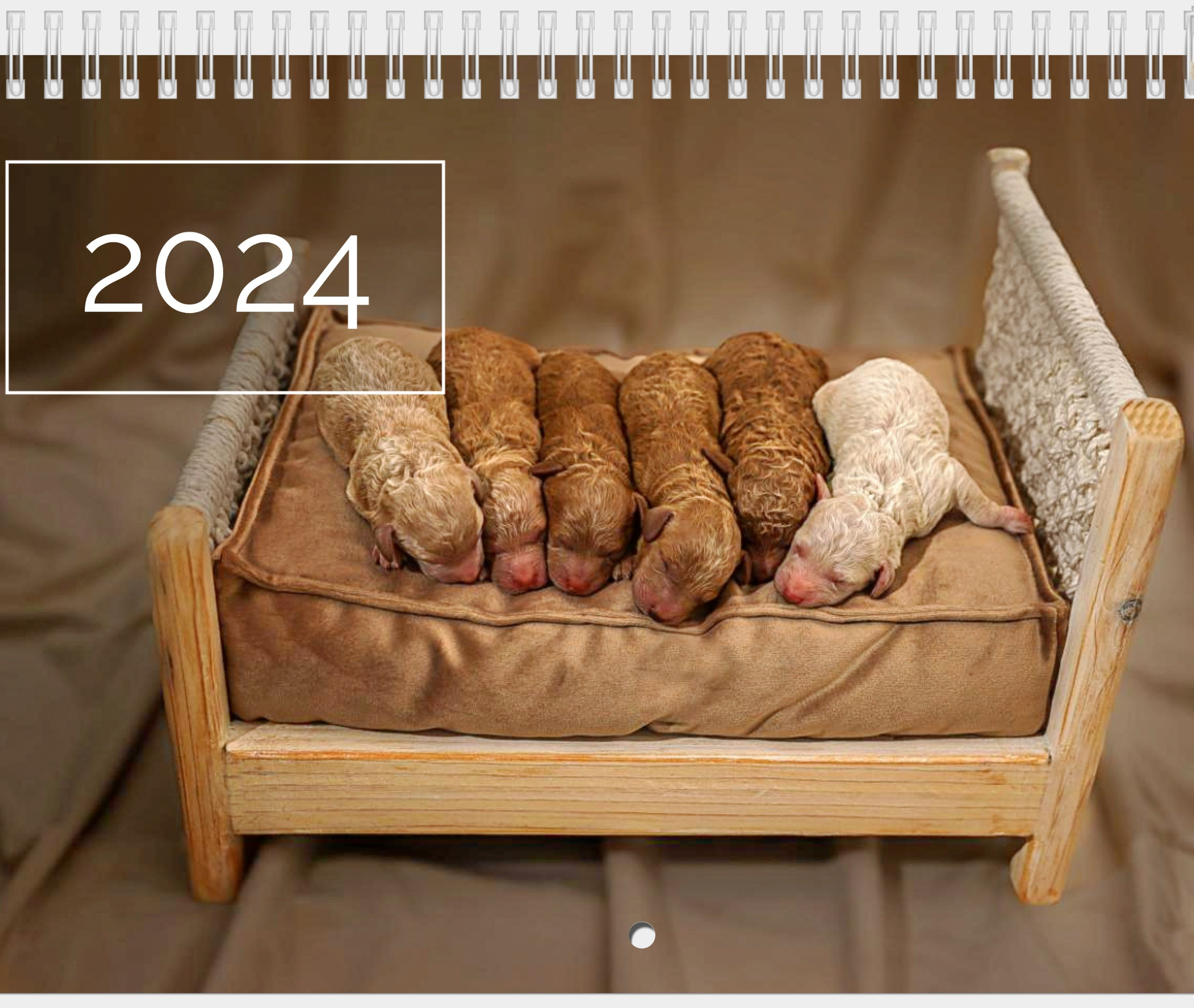 Wandkalender. Familien und Hochzeitfotograf in Molbergen, Cloppenburg, Münsterland