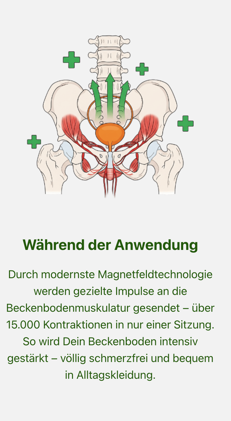 Für Männer. Gesundheitszentrum Lena Nozar — PowerChair Behandlung in Werne & NRW