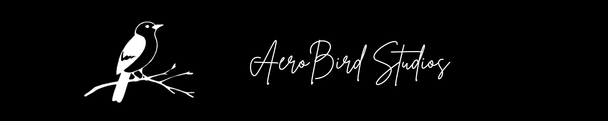 Equipe. AerobirdStudios