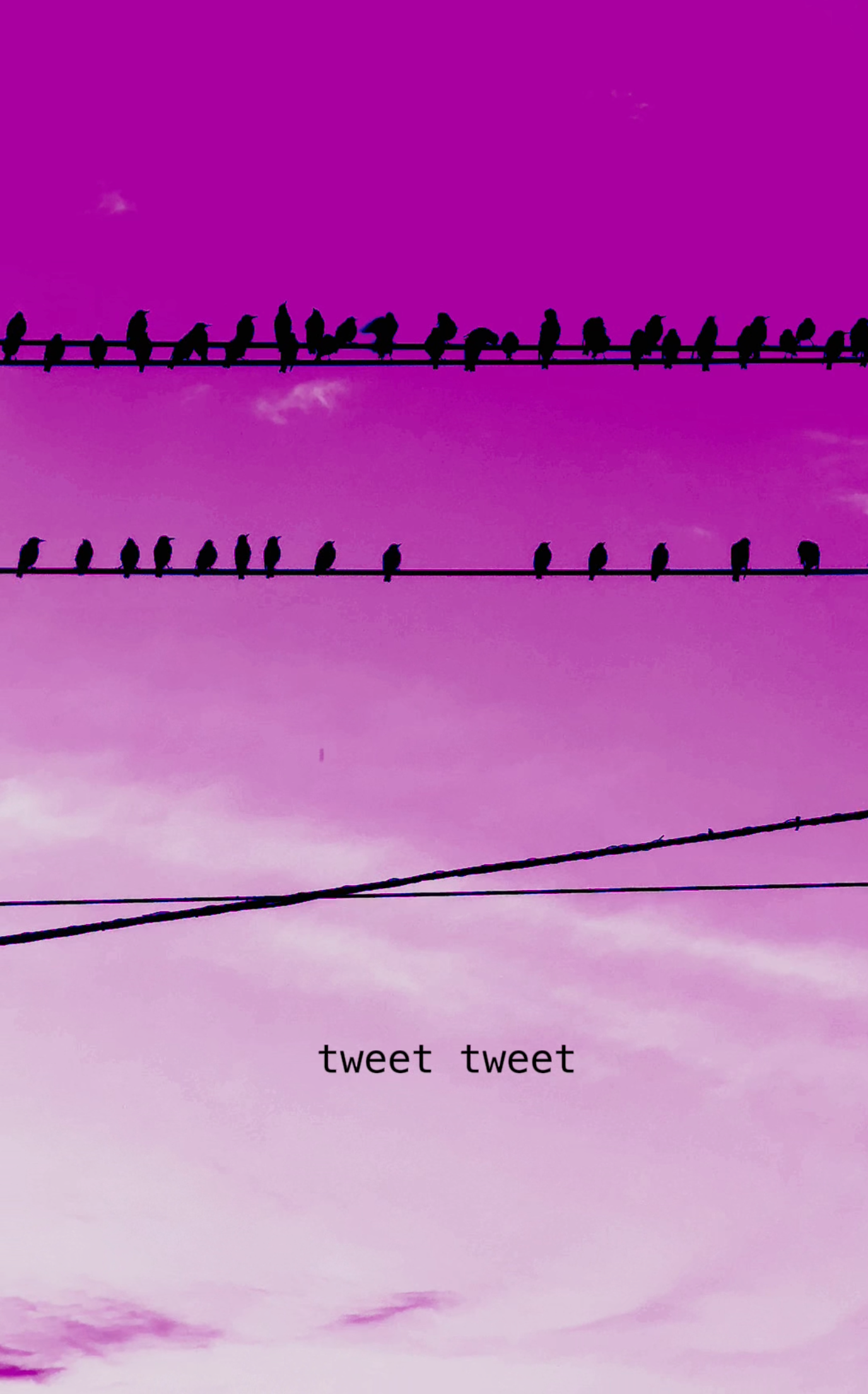 PINK NEWS COLLECTION. Visual Artist Raisa Boiko