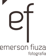 emersonfiuza.com.br